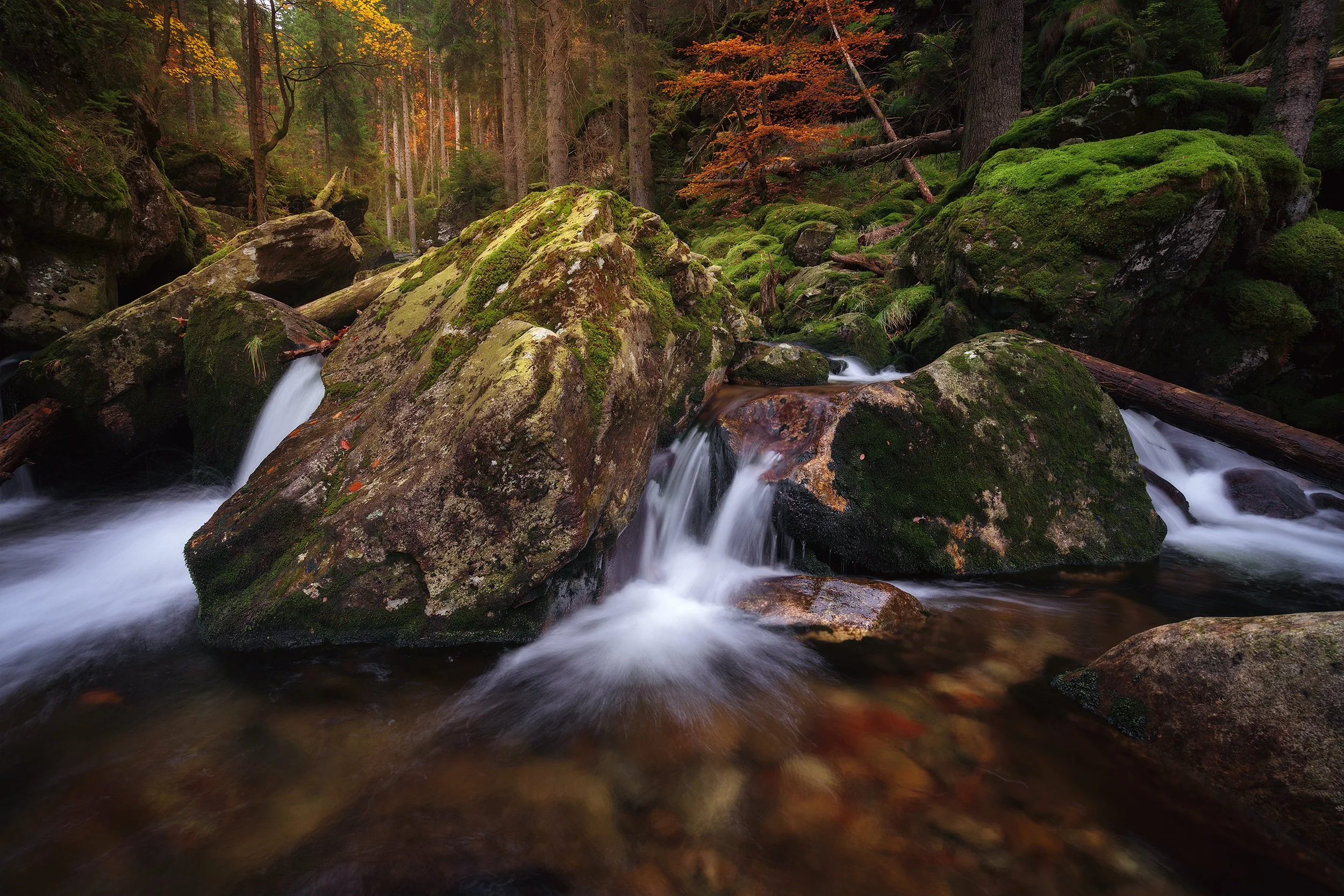 A forest stream with moss-covered rocks and flowing water, surrounded by trees with some fall foliage.