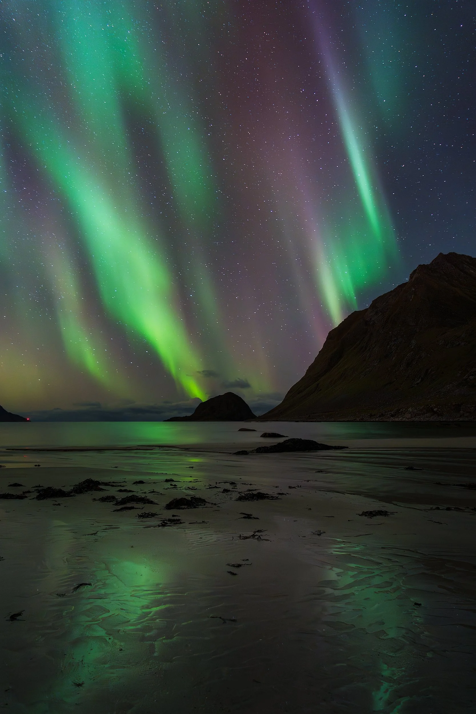 Northern lights illuminating the night sky over a beach with mountains in the background.