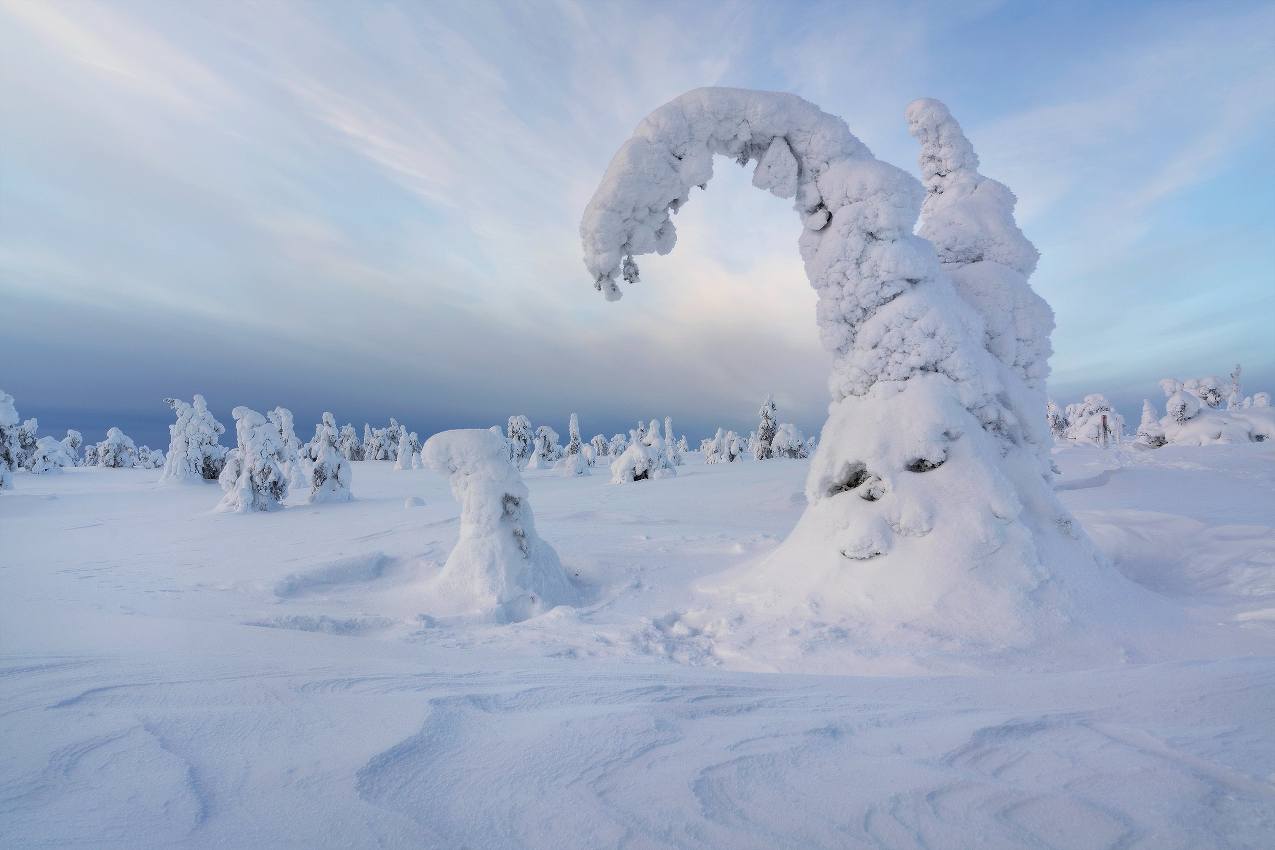 Snow-covered trees in a wintry landscape, with a large snow formation resembling a smiling face with a nose and mouth, and another smaller snow creature nearby.