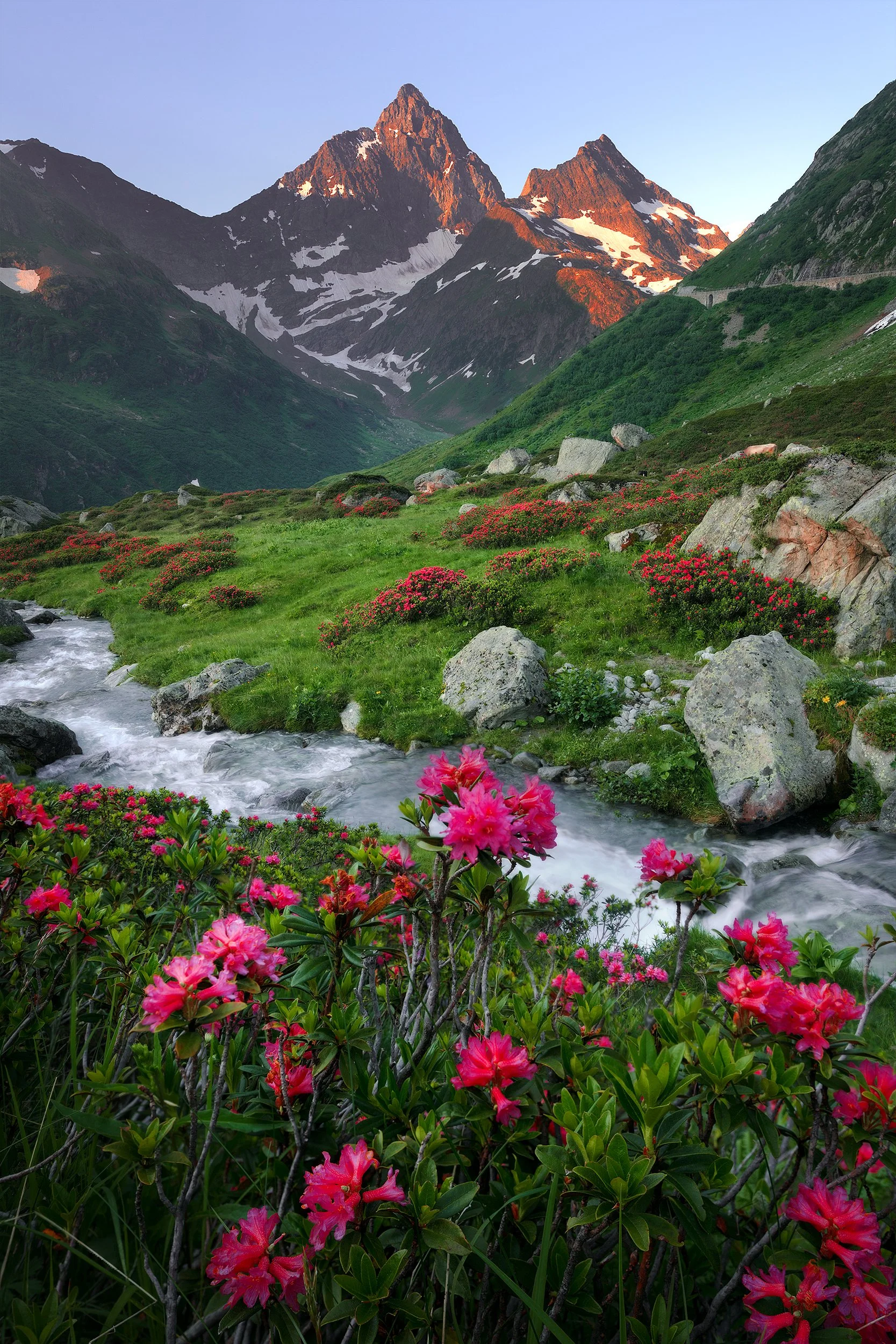 Mountain landscape with snow-capped peaks, lush green hillside with pink azalea flowers, flowing stream in the foreground, and a clear sky at sunset.