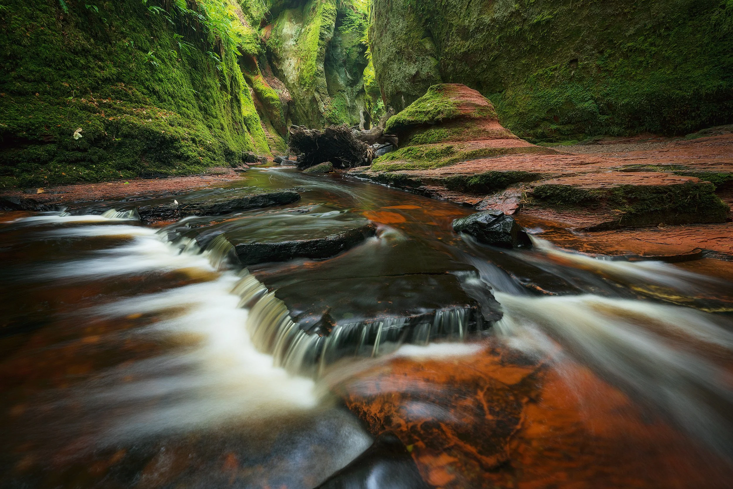 A small waterfall flows over dark rocks in a narrow canyon with moss-covered walls and lush green vegetation.