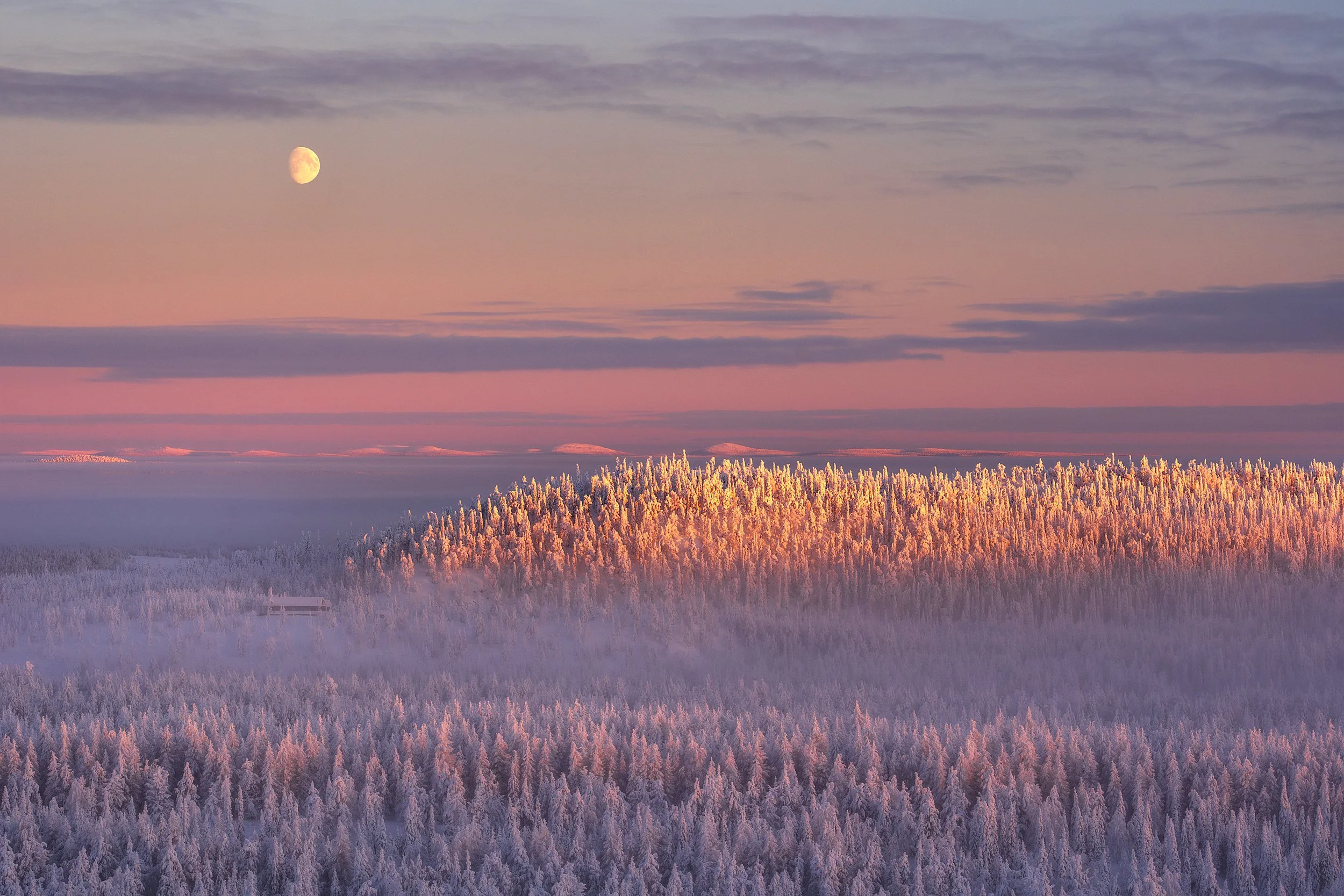 Snow-covered mountain forest under a pink and purple sky with a visible waxing gibbous moon.