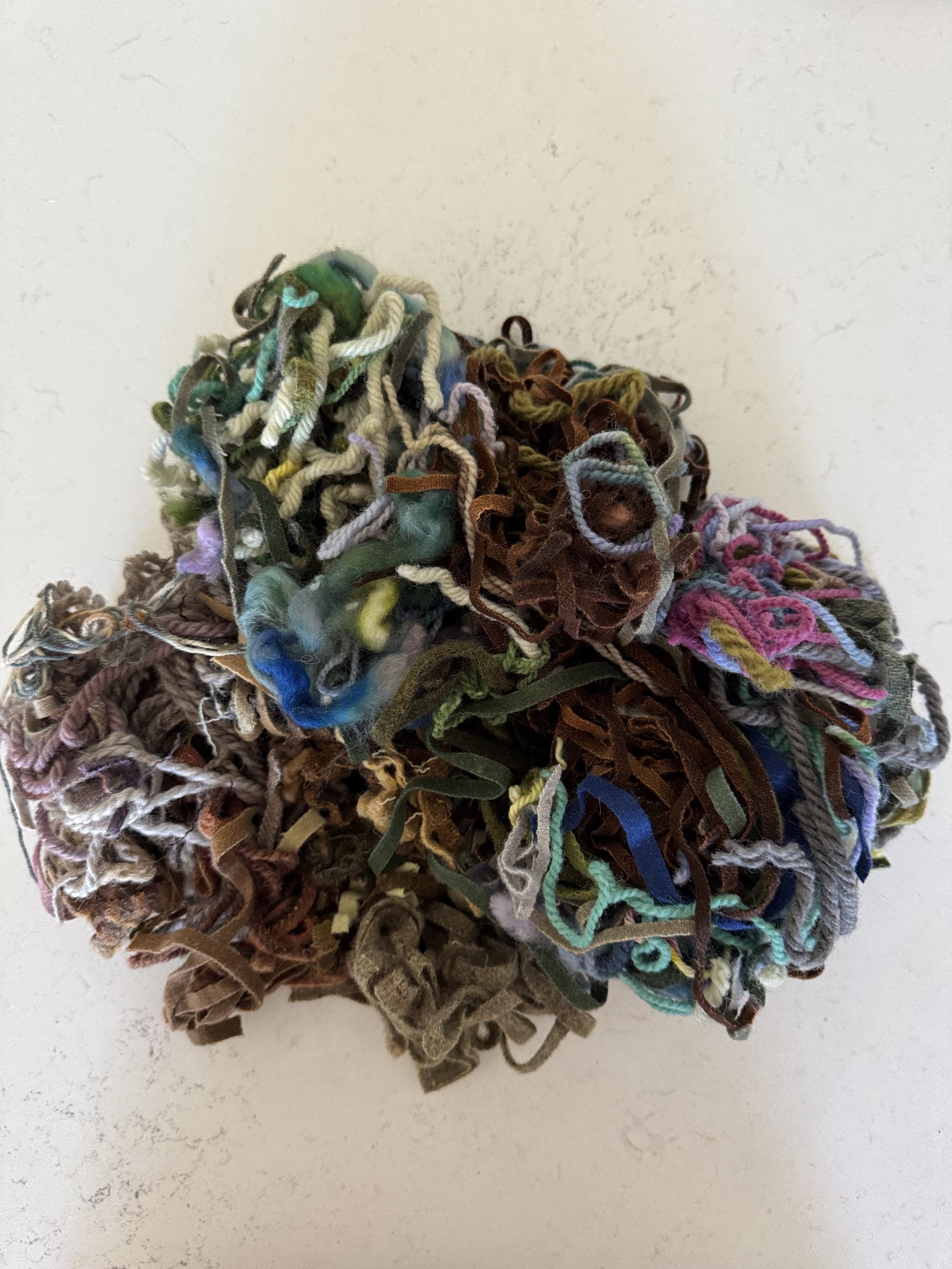 image11.jpeg