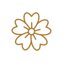 Simple line drawing of a flower with multiple petals.