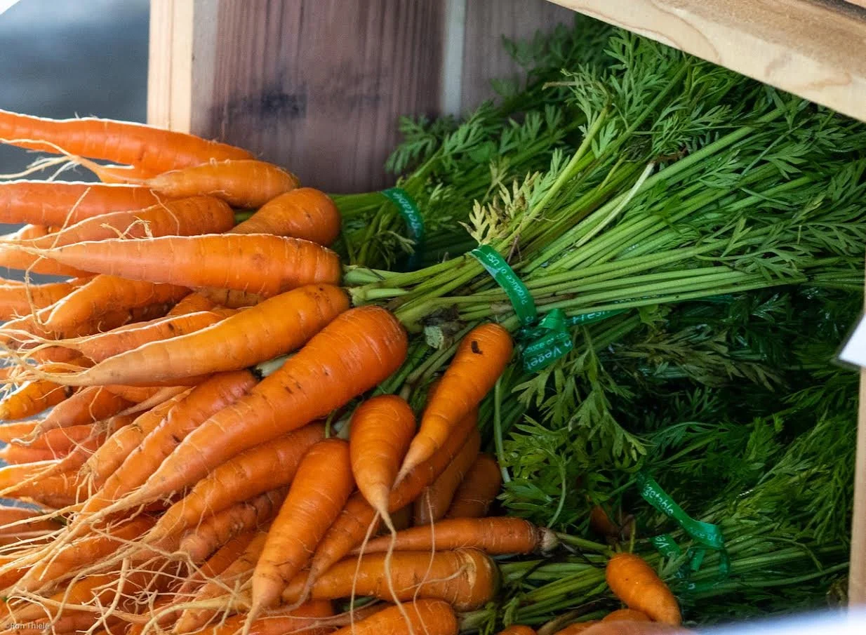 10.15.21_Nick Gressel-greens-4.jpeg