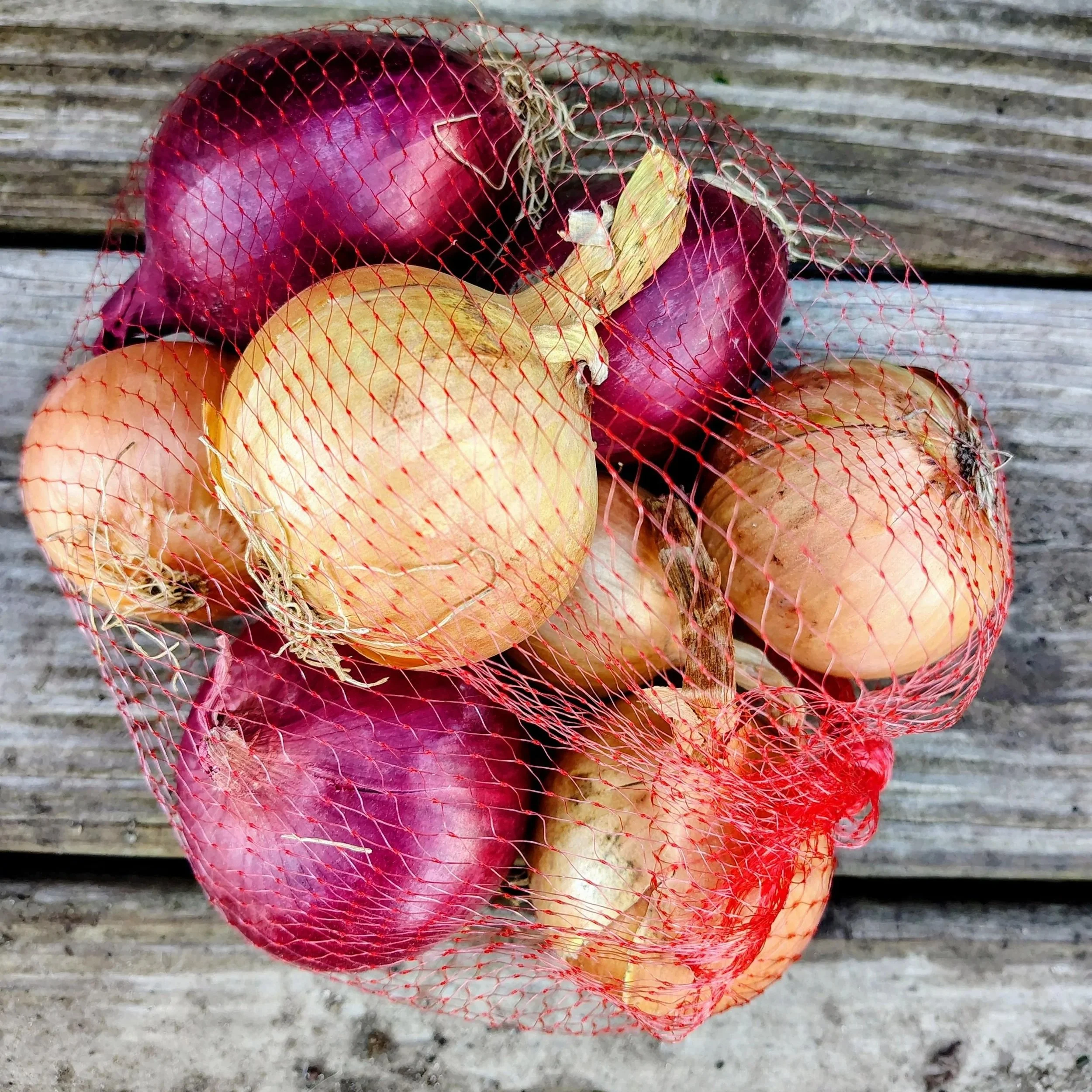 Onions%2C+Red+%26+Yellow+Bagged.jpg