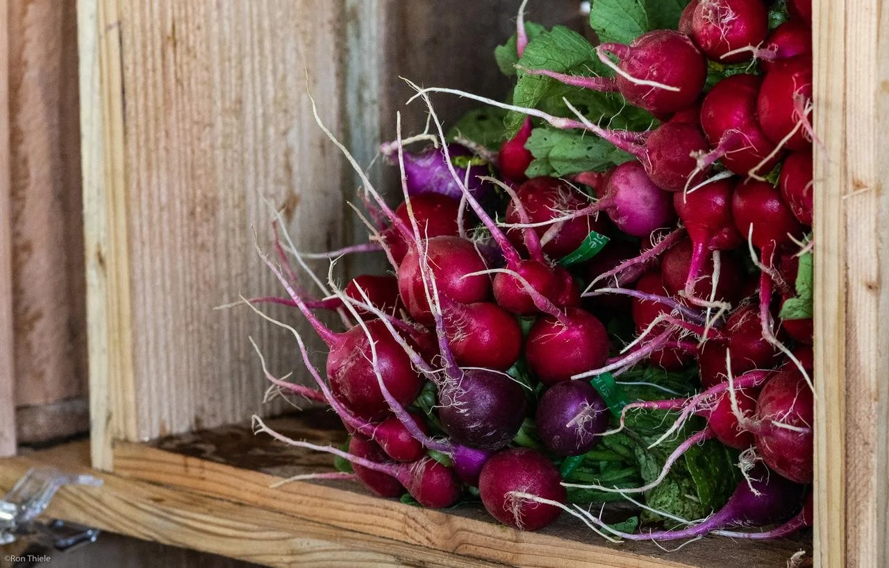 10.16.21_Nick Gressel-greens-2.jpeg