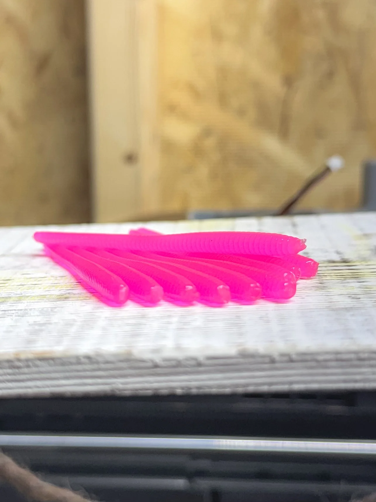 Photo Mar 29 2026, 14 02 52.jpg