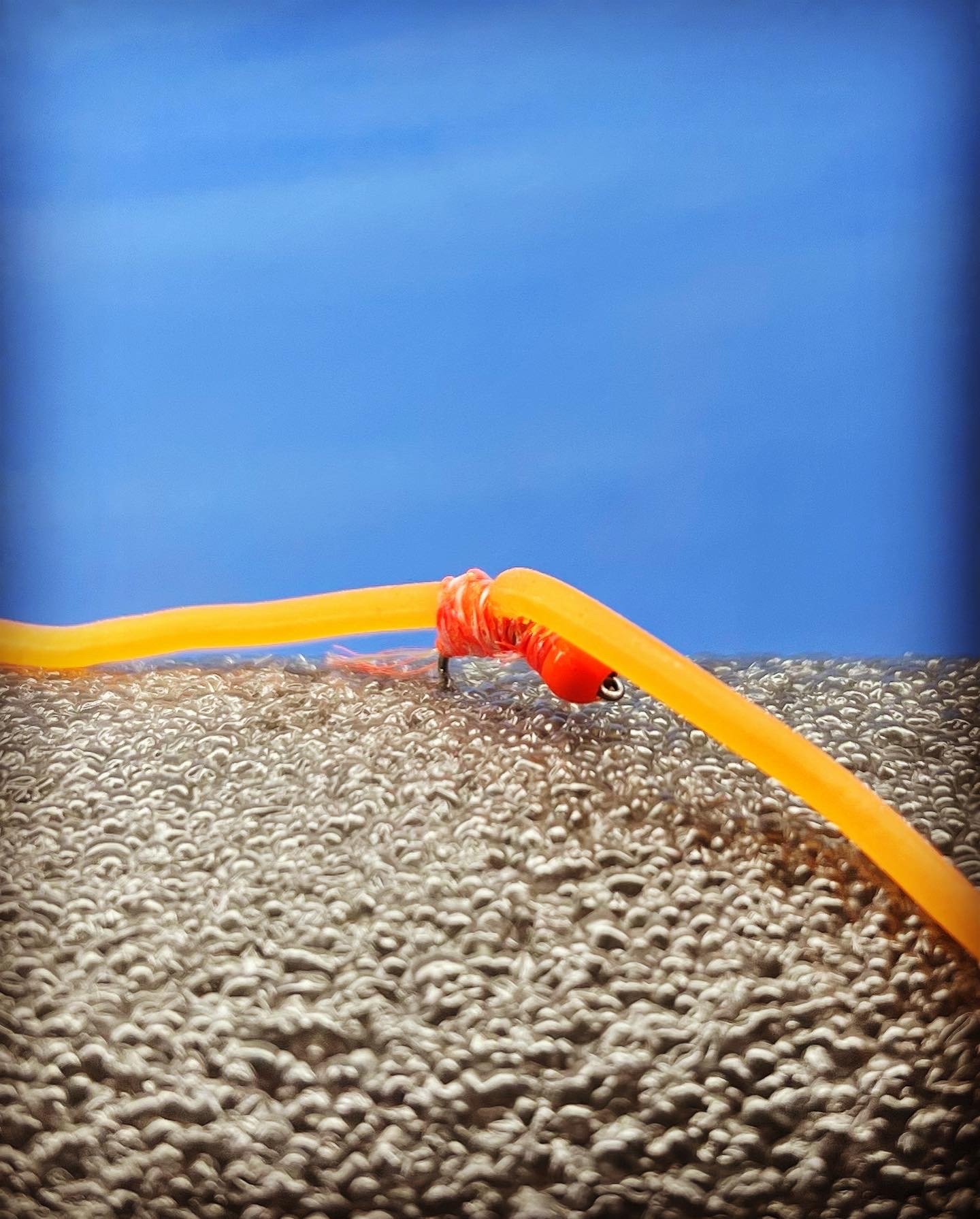 OG San Ron - 1/2 Dozen