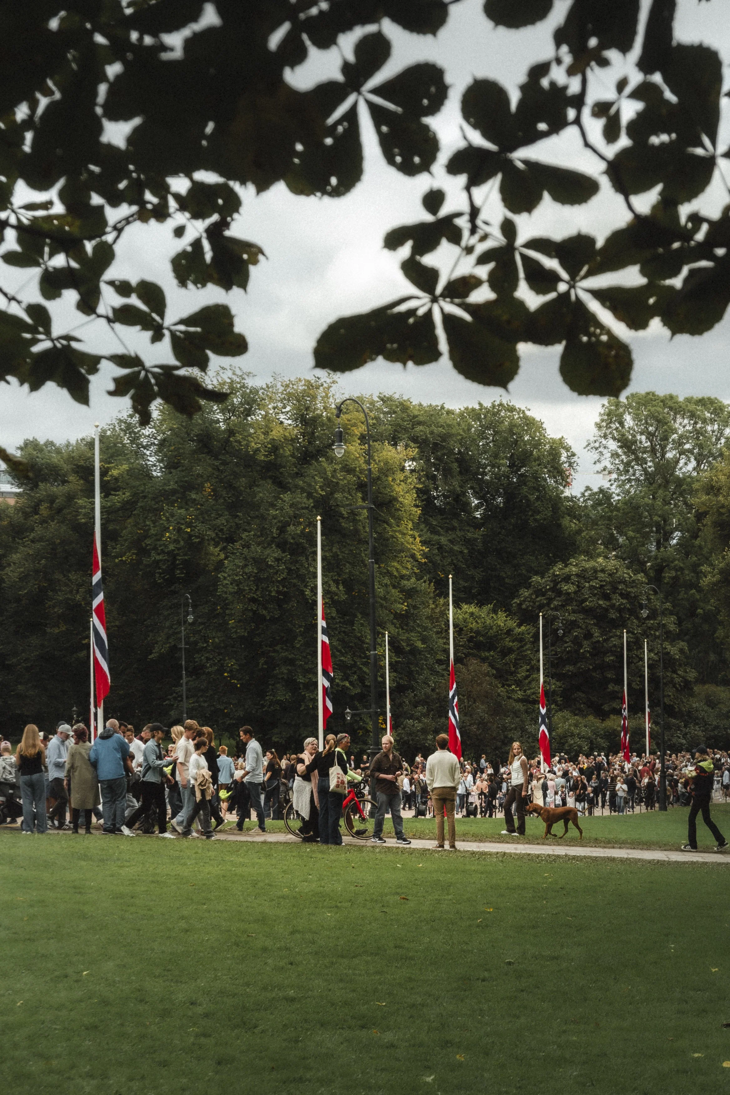 Slottsplassen_HMKongHaraldV-260830-EmmiSollie-emmisphoto-04441.jpg