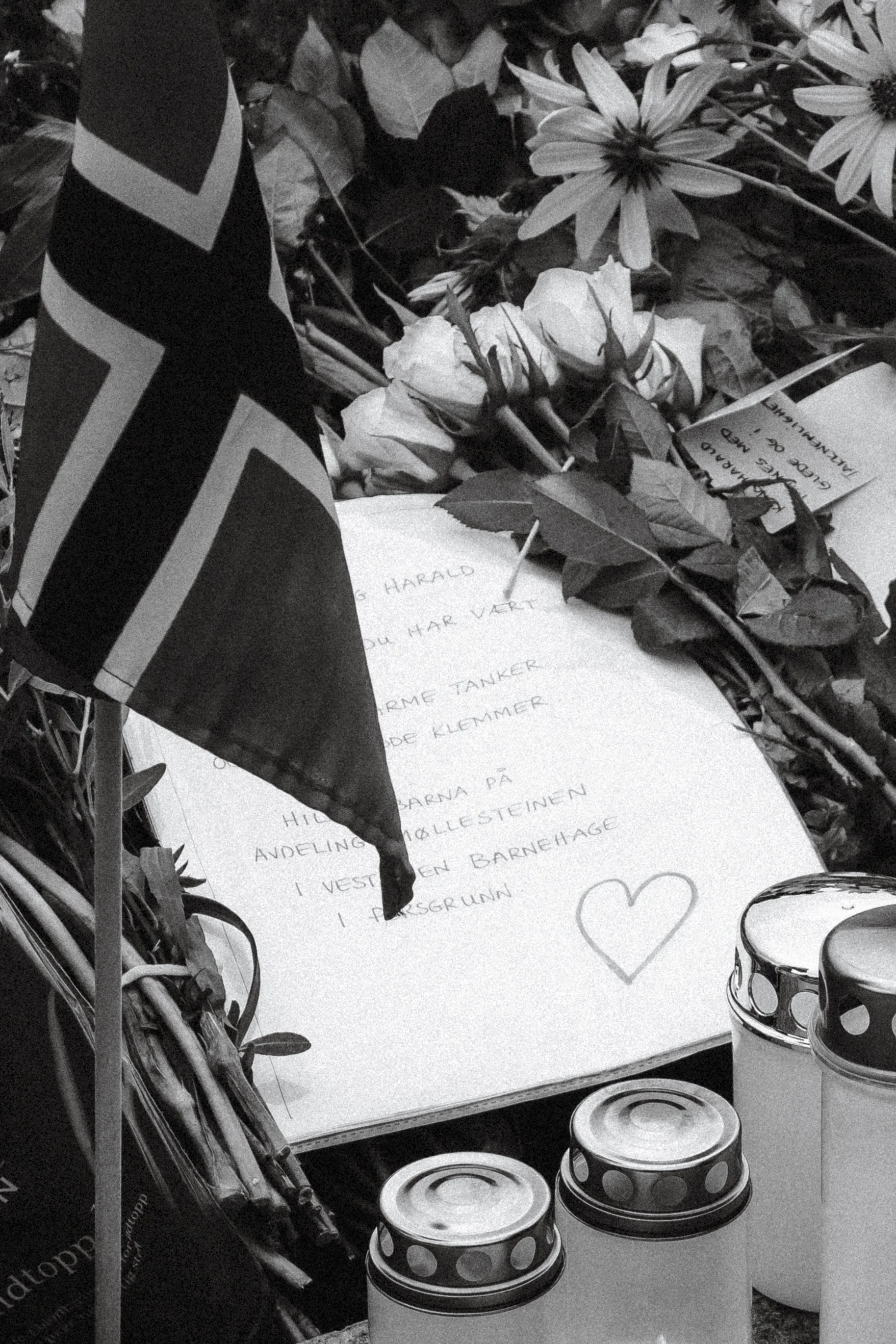 Slottsplassen_HMKongHaraldV-260830-EmmiSollie-emmisphoto-04376-BW.jpg