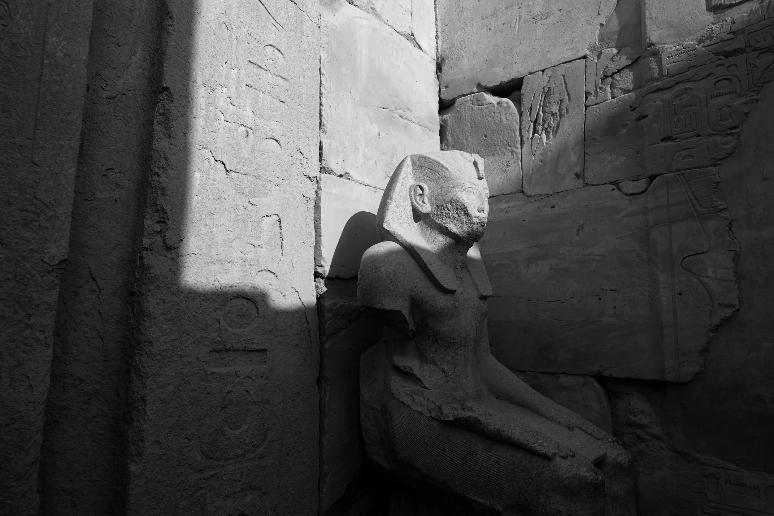 Raúl Sánchez Casado: “Reconstructing Old Kingdom Society through the Necropolis: The Invisible Networks Project”