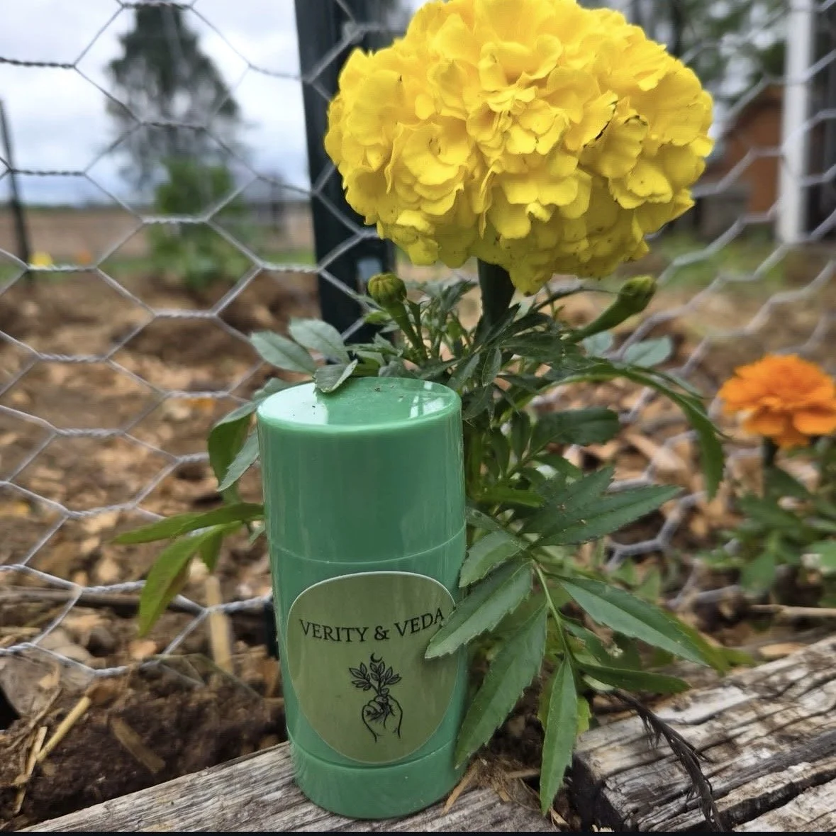 Earth Mother Detoxifying Deodorant
