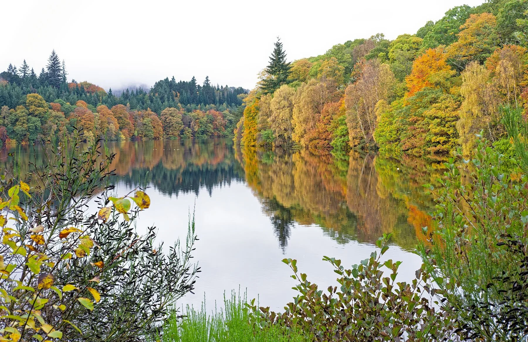 Captured on the tranquil banks of the River Garry in Pitlochry, this autumn landscape reveals a moment of perfect stillness. The forest, alive with deep greens, golds, and ember‑rich reds, leans gently over the water as if admiring its own reflection