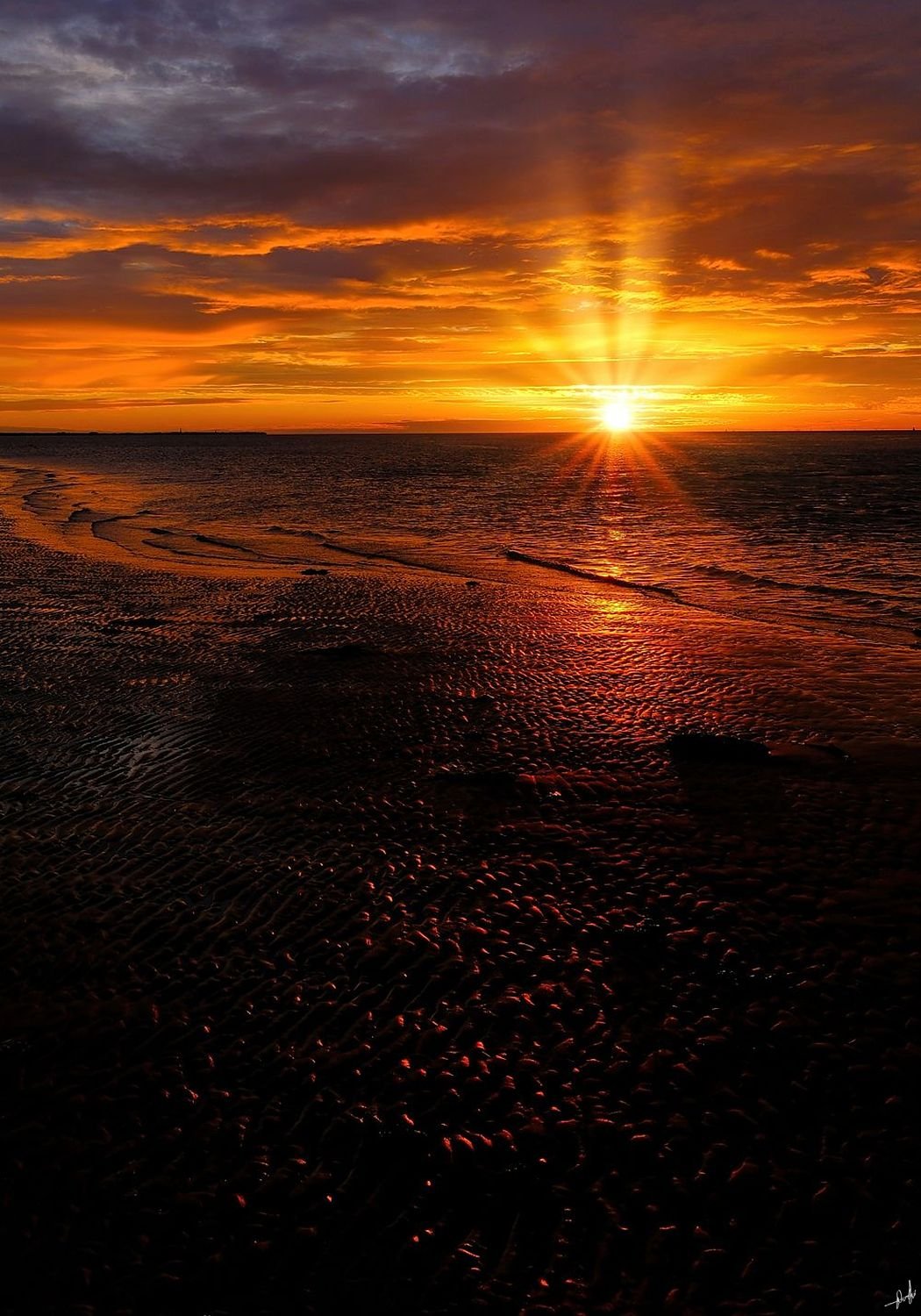 Aurora of the Tidal Plain