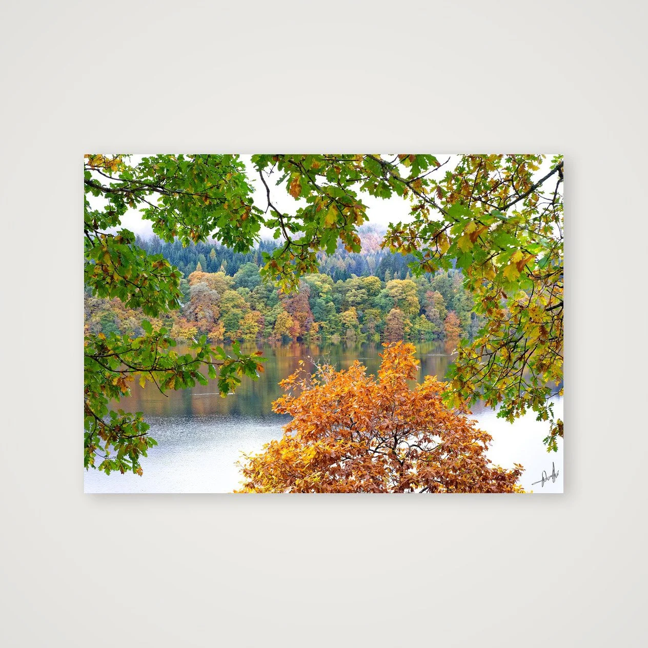 shot_table_ff39638f_347fe4a0.jpg