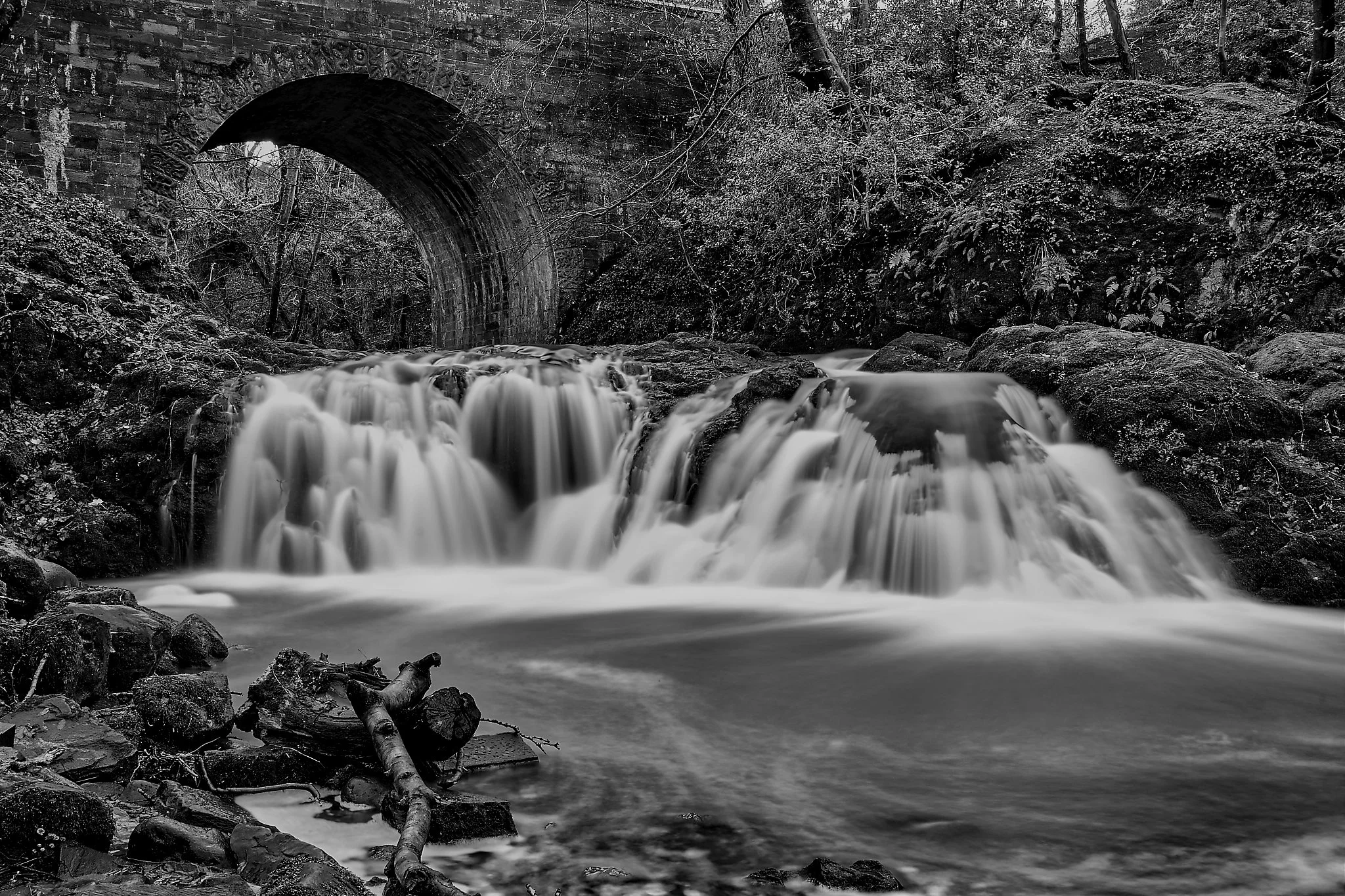 A black‑and‑white study of Arbirlot Falls, where water, stone, and woodland gather in a moment of quiet drama. The old stone bridge arches over the cascade like a relic from another time, softened by moss and years of weather. Below, the waterfall sl