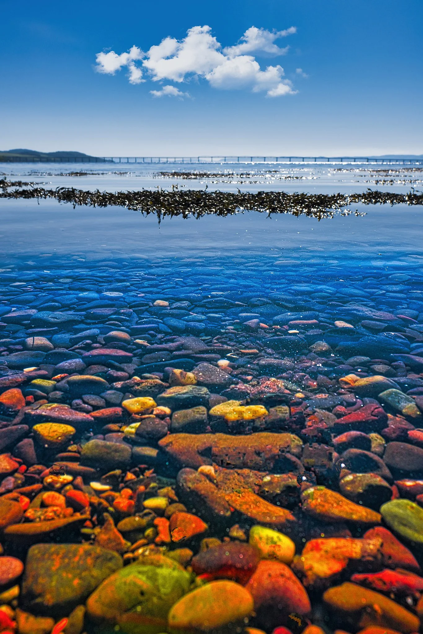 Sunlight pours across the Tay, turning the shallows into a mosaic of colour—smooth stones in reds, greens, golds, and purples glowing beneath perfectly clear water. Seaweed drifts gently at the surface, adding soft organic shapes that contrast with t