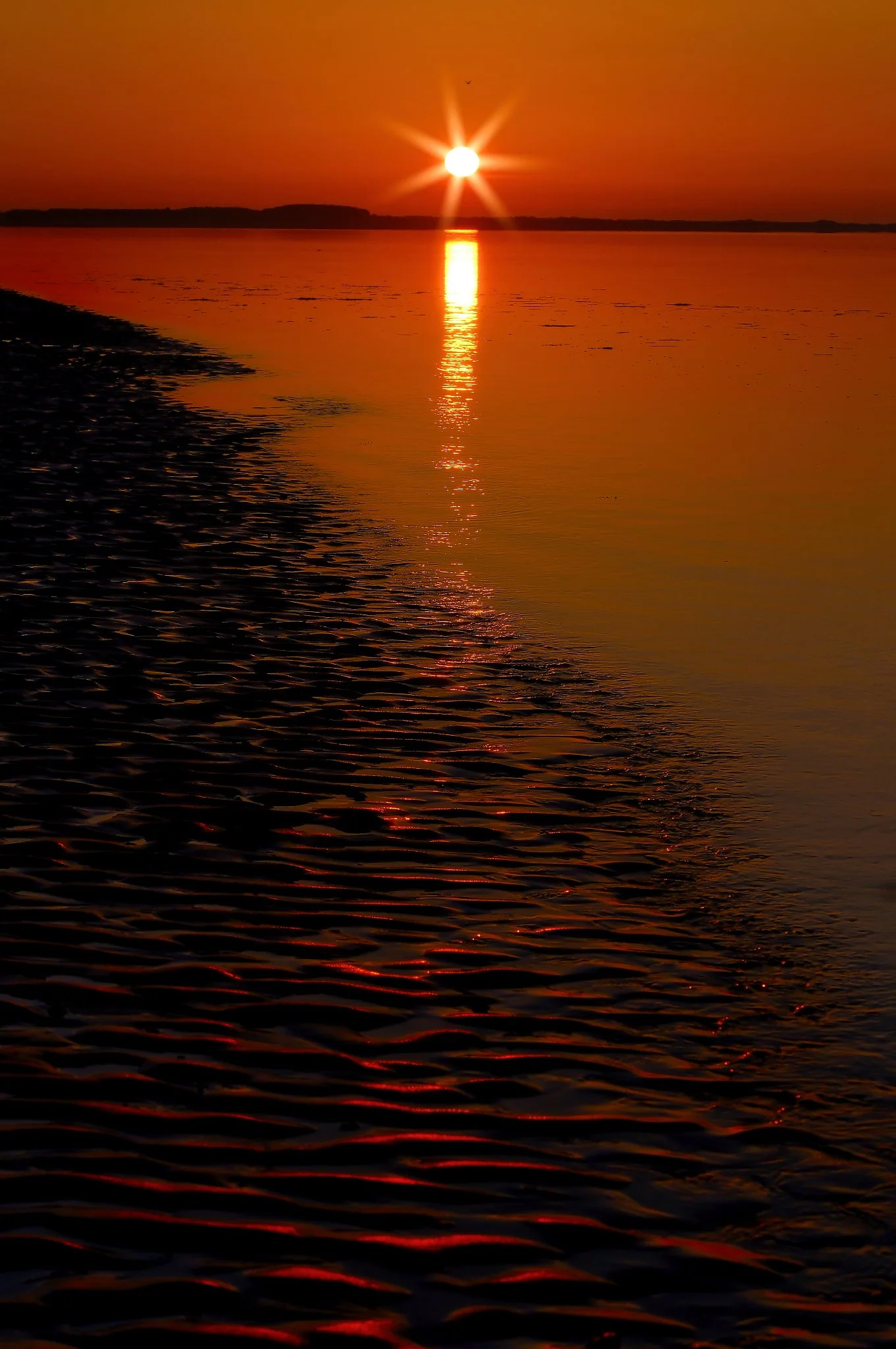 The sun rises over the Tay in a blaze of deep oranges and reds, casting a molten path of light across the still water and onto the rippled sand of Broughty Ferry Beach. The shoreline glows with warm reflections, each ridge of sand catching the colour