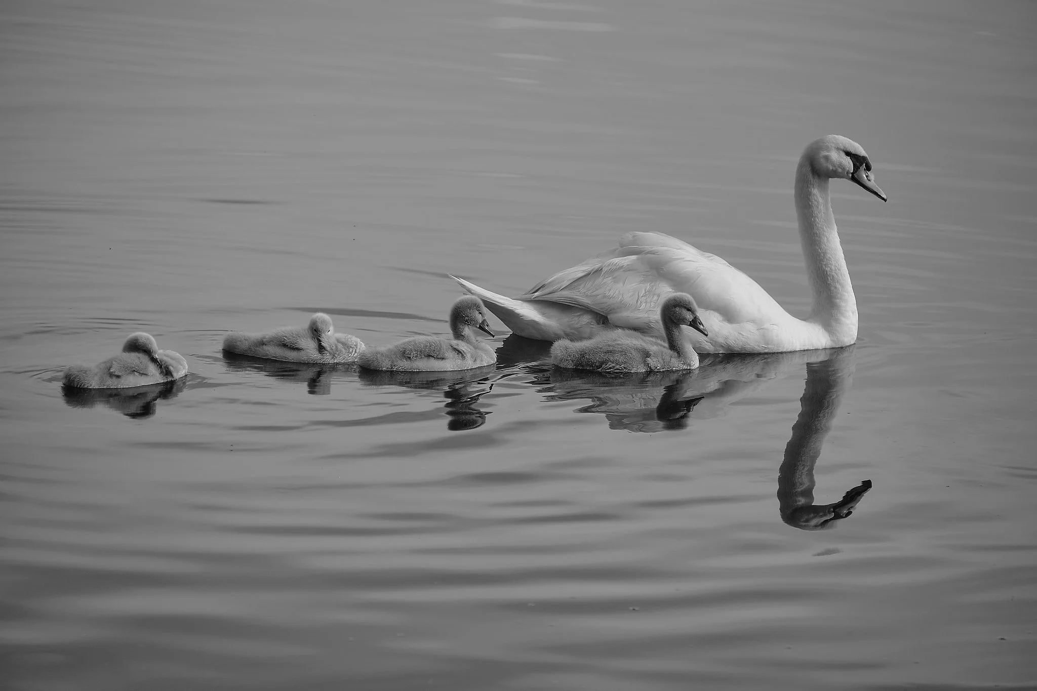 DSCF3351 2_DxO.jpg