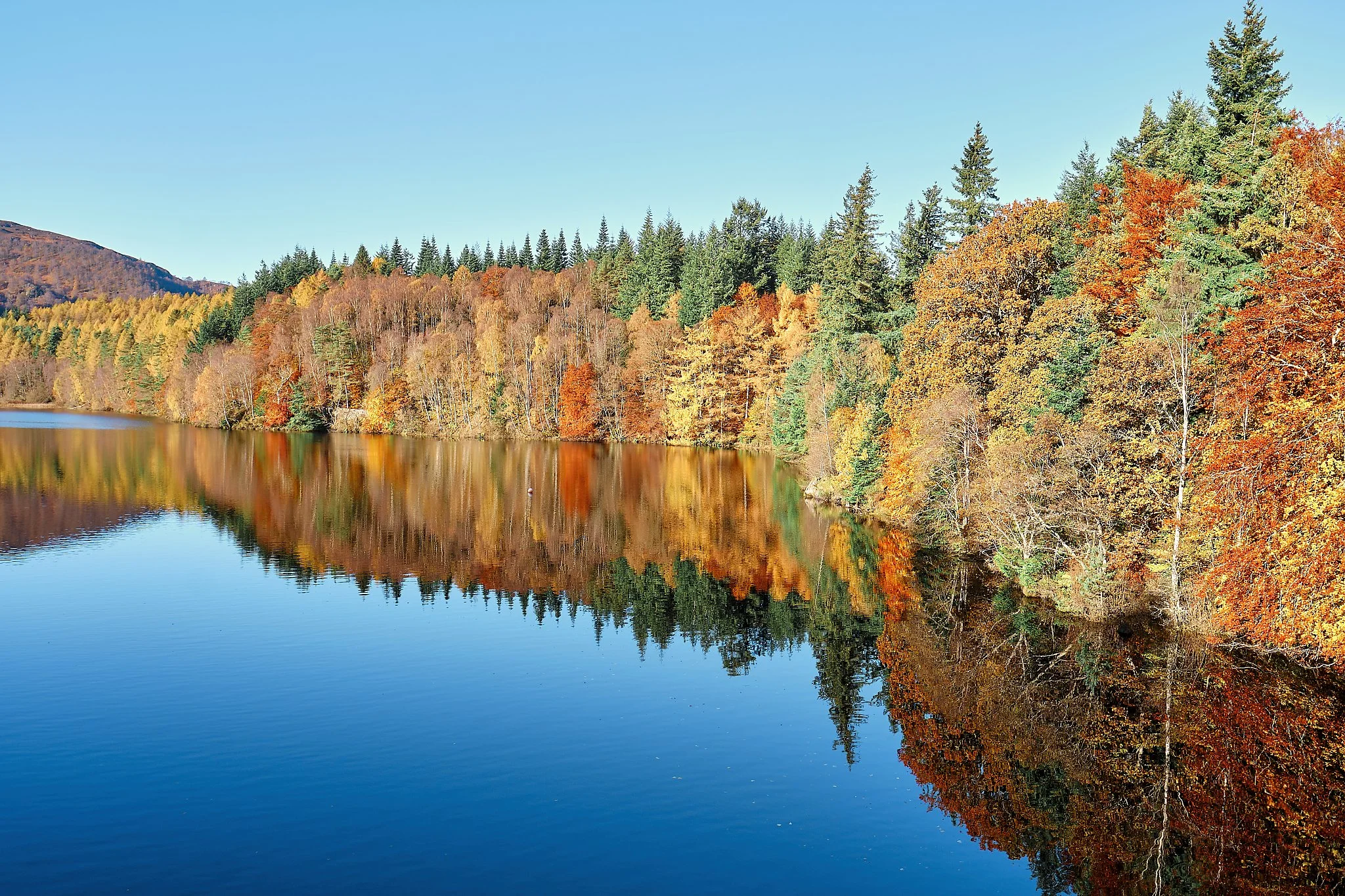 The River Garry winds through its steep, forested gorge in a moment of perfect stillness, the water reflecting the autumn canopy with mirror‑like clarity. Shades of gold, amber, red, and deep green spill down the hillside and gather along the banks, 