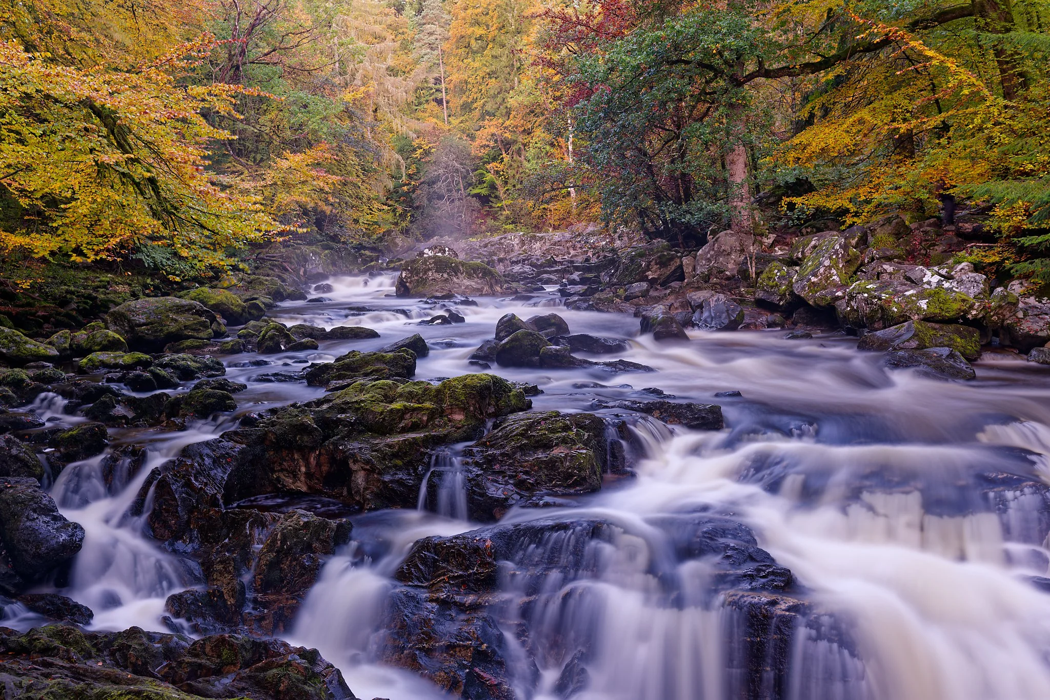 Deep within the ancient woodland of The Hermitage in Perthshire, the River Braan weaves its way through moss-covered rocks beneath a canopy of vivid autumn colour. Golden leaves, rushing water, and timeless stone combine to create a landscape that fe