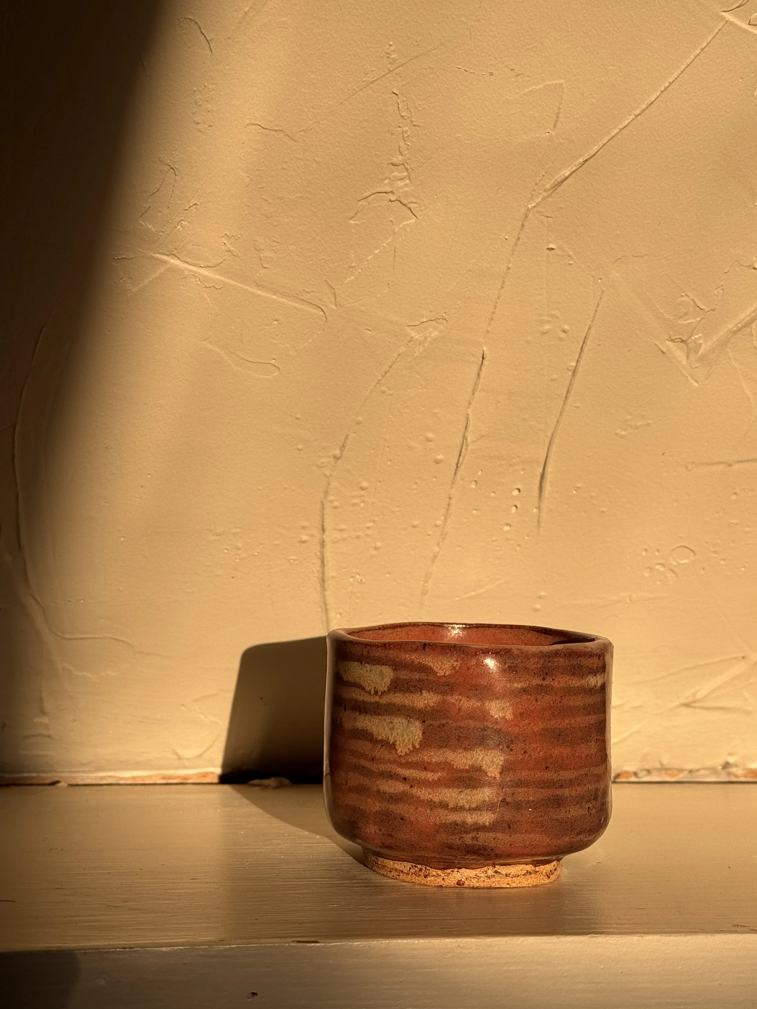 swampy lines mug