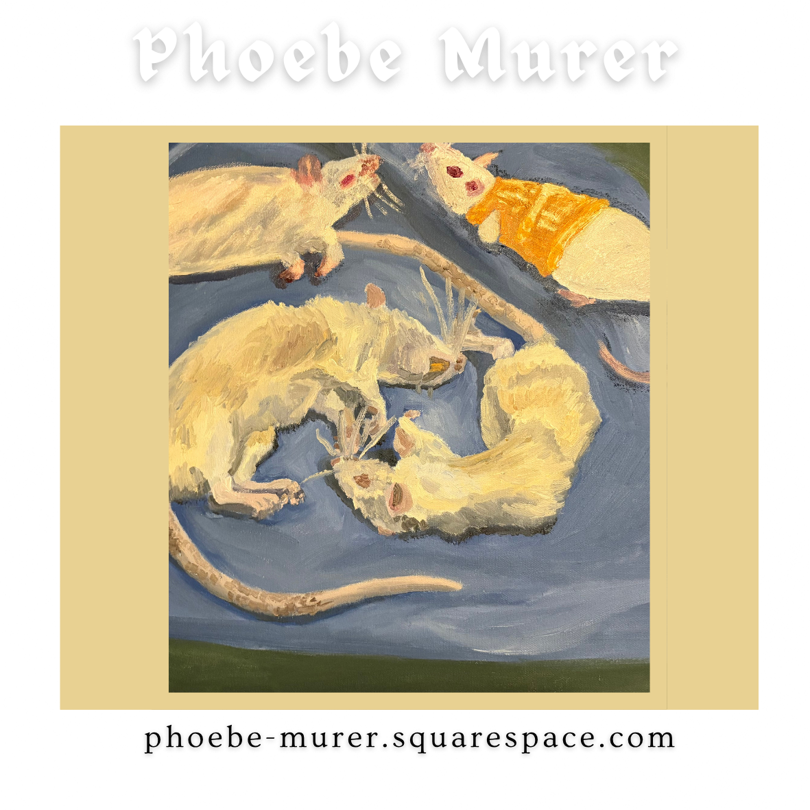 Phoebe Murer is an artist born and raised in Philadelphia. She went to PAFA for fine arts and Arcadia for Pre Art Therapy. She raised rats as pets for 27 years. She started out purchasing rats from pet stores. When she graduated Arcadia in 2006, she 