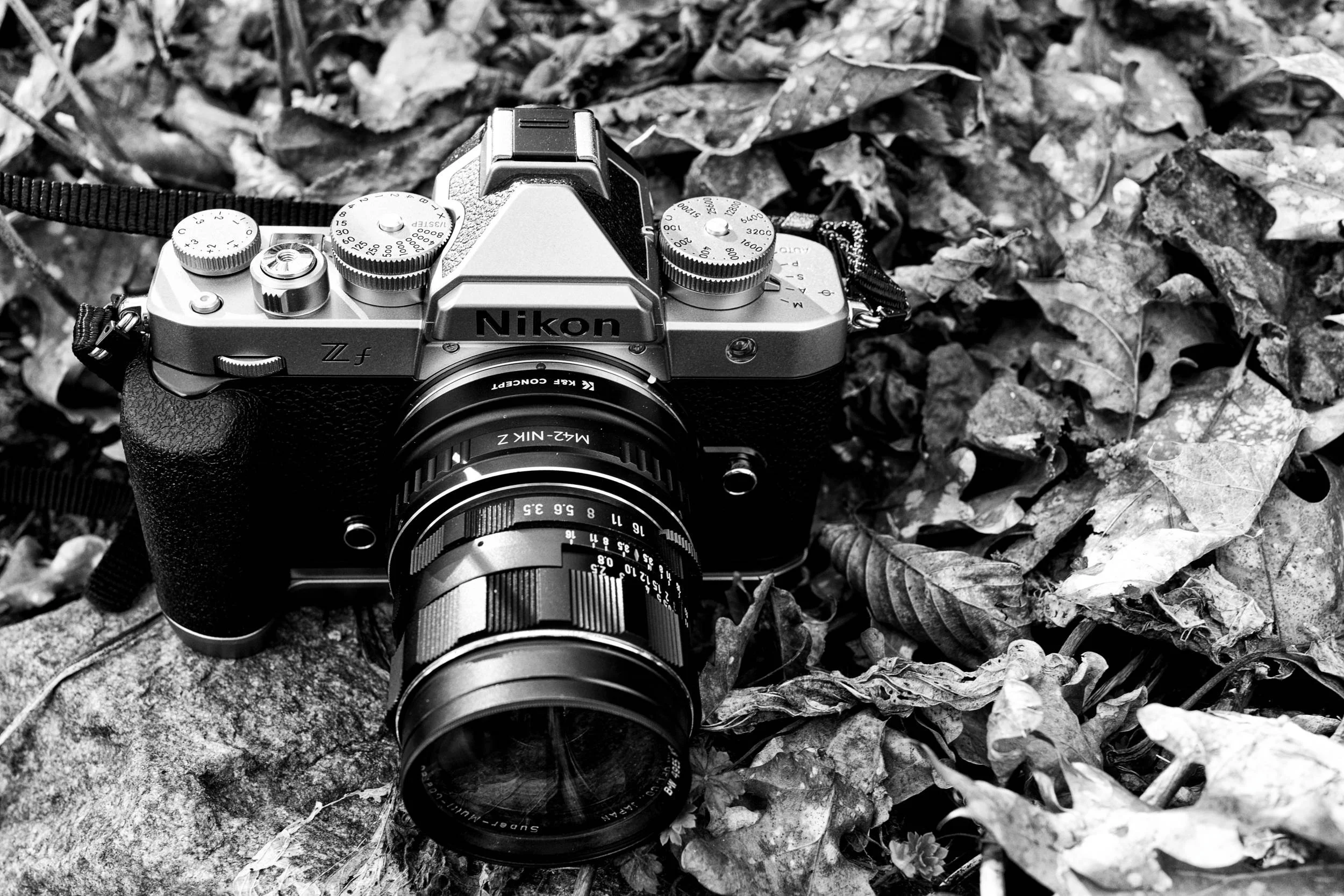 Fotowalk mit dem Asashi Takumar f3.5 28mm SMC