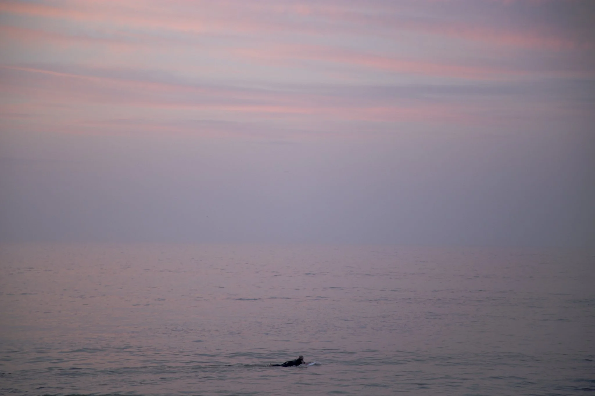 Lonely Dawn Patrol Malibu.jpg