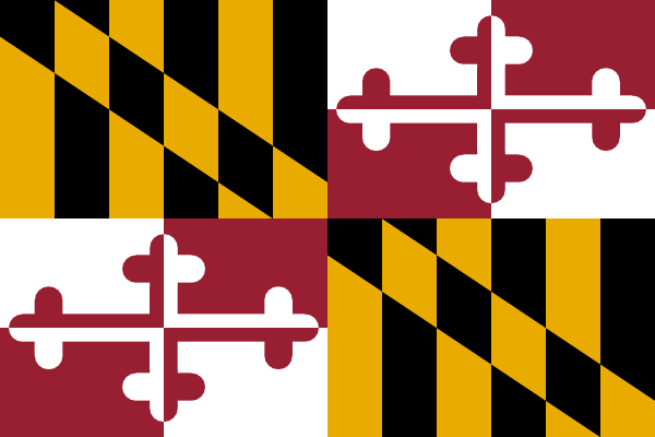 A pattern featuring the Maryland state flag with alternating sections of black and gold diagonal stripes and white and maroon cross bottony crosses.