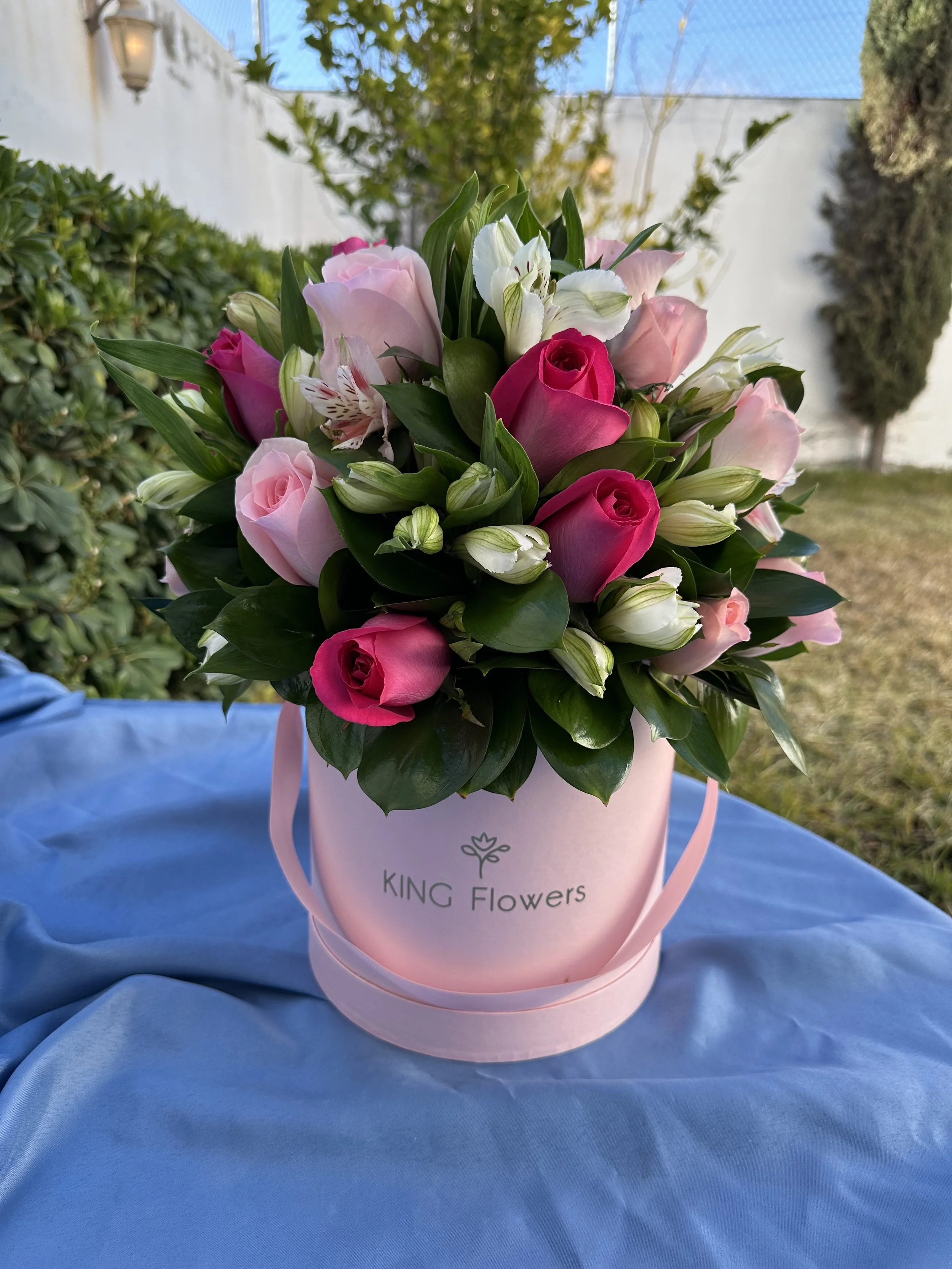 Circular 360 y astromelias