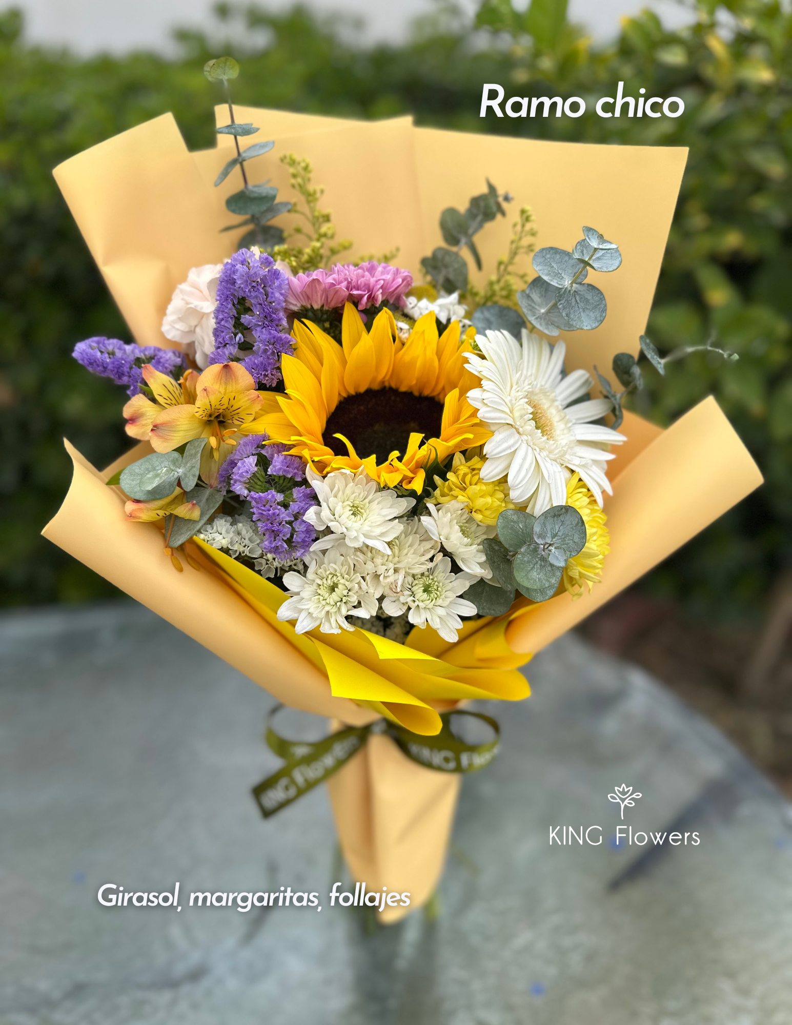 Amarillas Post Marzo 2026 - Portada (13).png