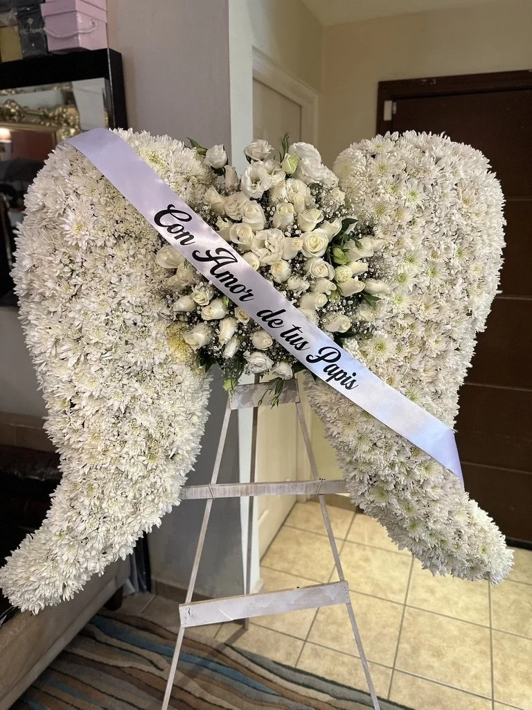 Alas de Angel