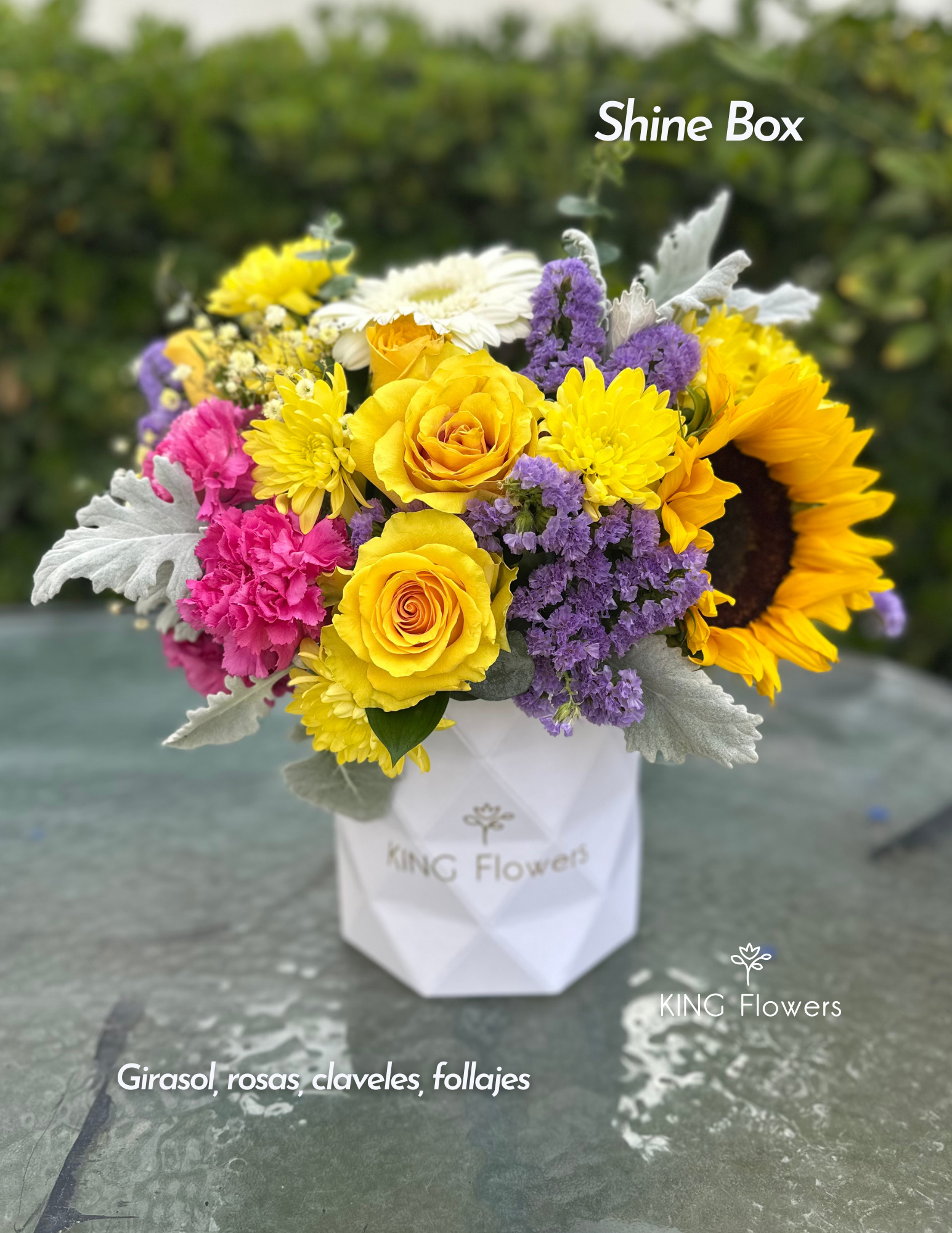 Amarillas Post Marzo 2026 - Portada (12).png