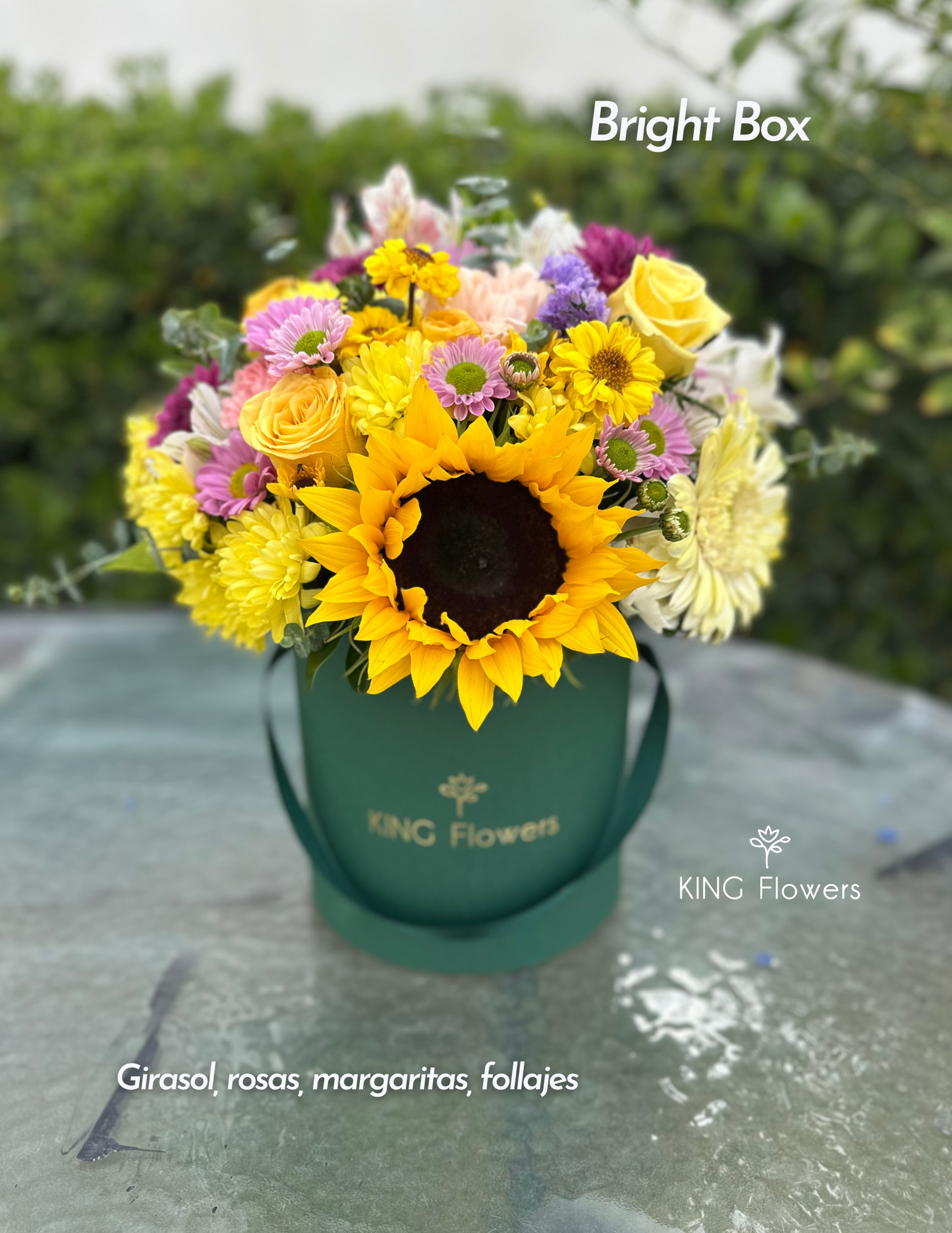 Amarillas Post Marzo 2026 - Portada (14).png