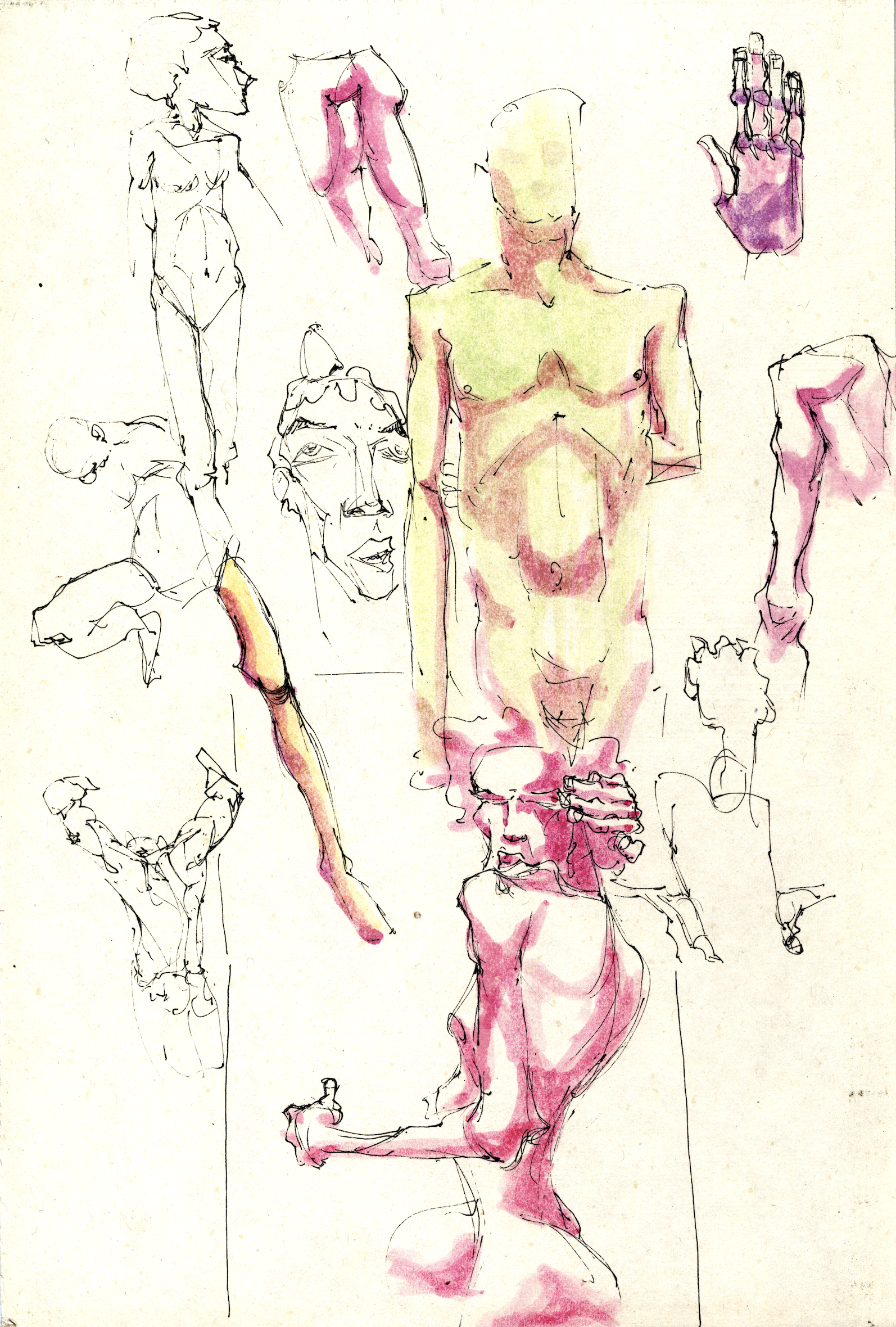 Screenshot 2026-04-10 at 11.57.17 AM.png