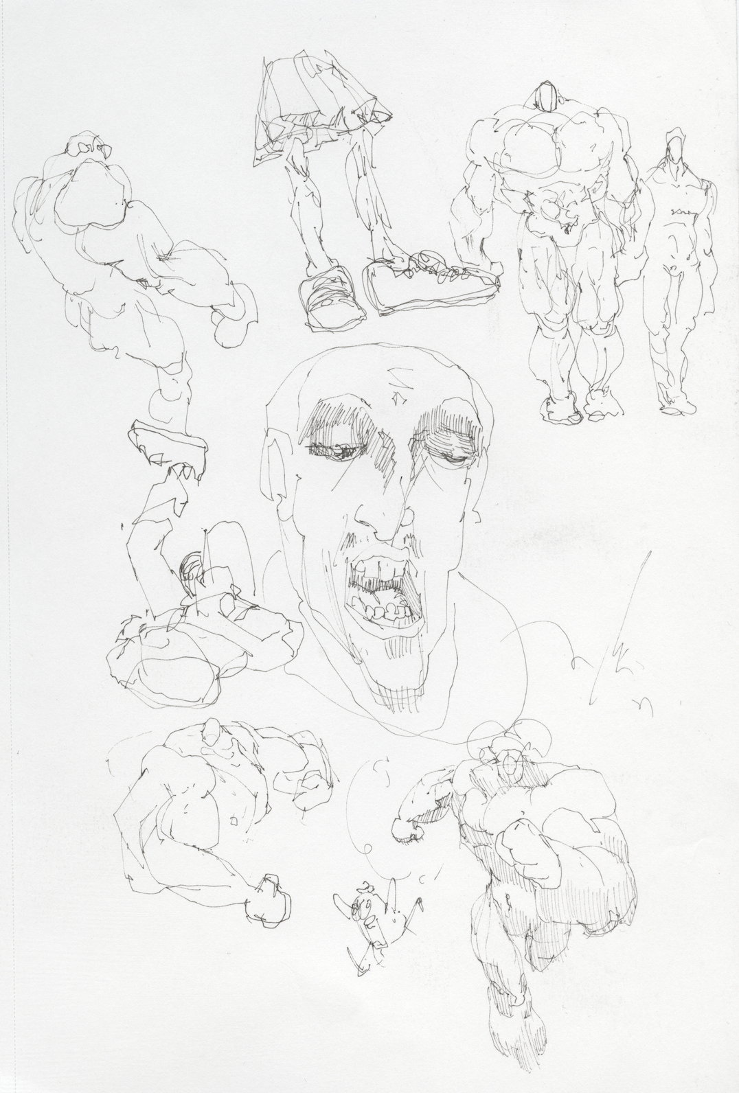 Screenshot 2026-02-21 at 5.29.43 PM.png