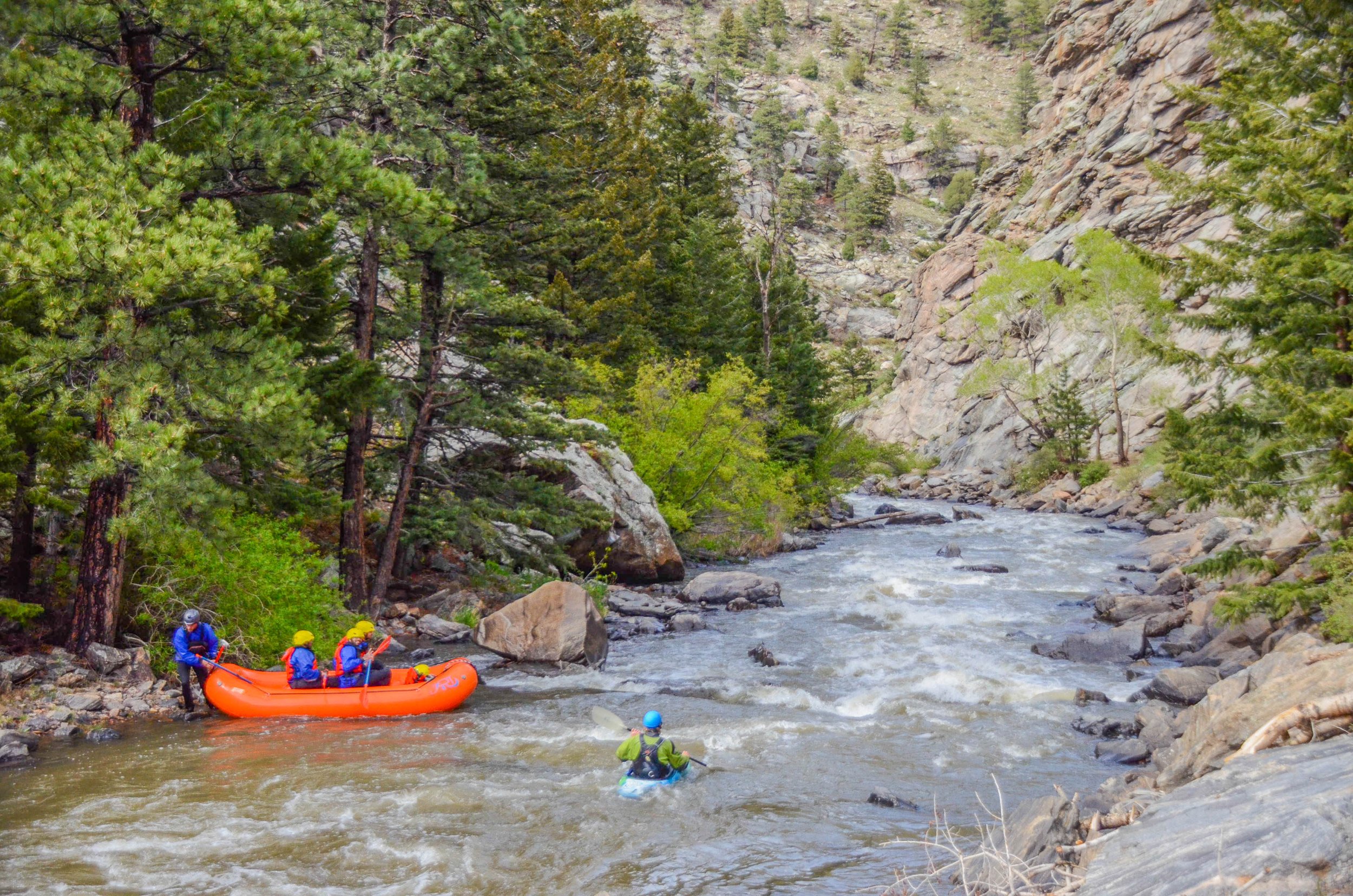 People whitewater rafting in a river surrounded by a forested mountainous landscape.