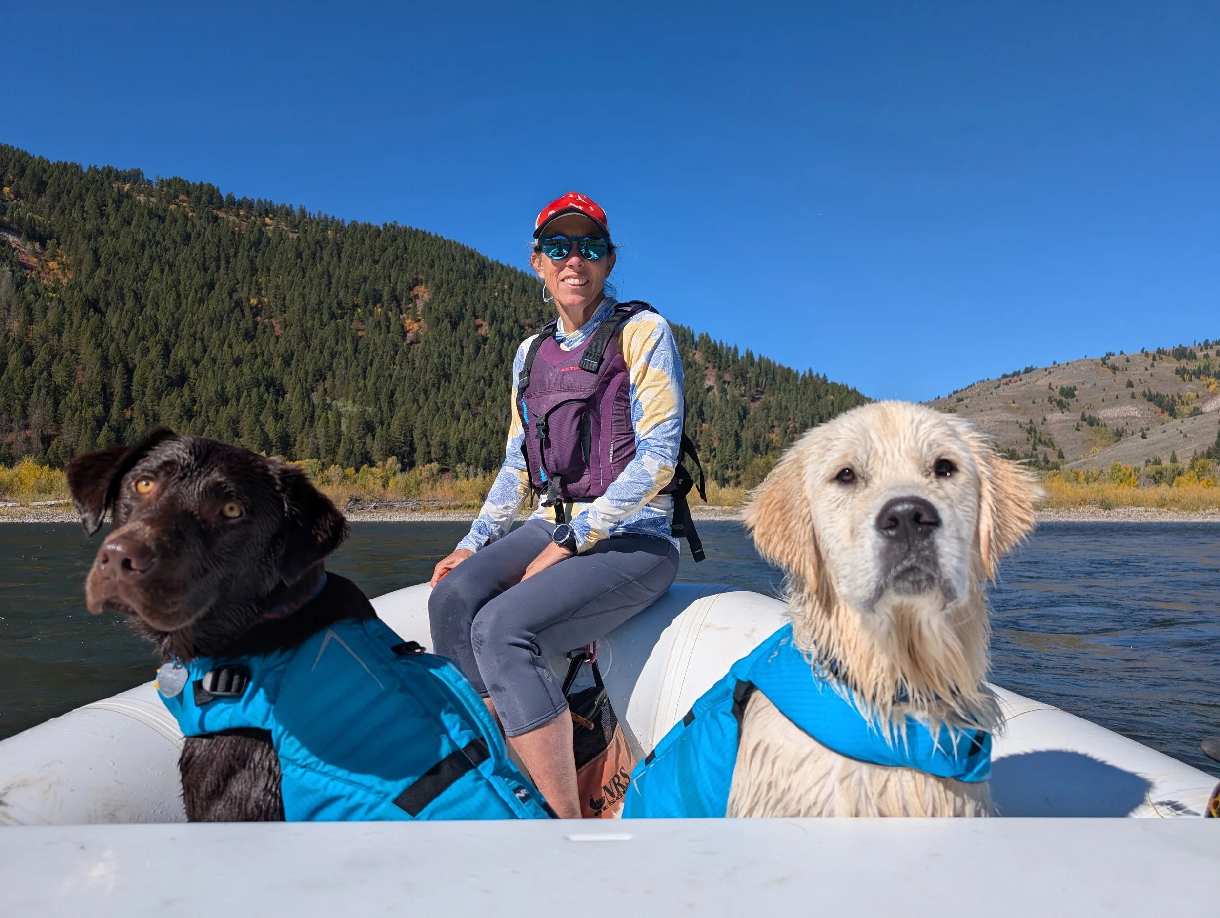 Professional guided white water rafting experience with idaho springs rafting company, Colorado