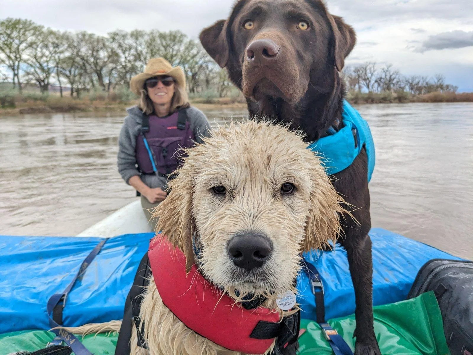 Chief morale officers, White water rafting guide, Idaho Springs Rafting Company, Colorado