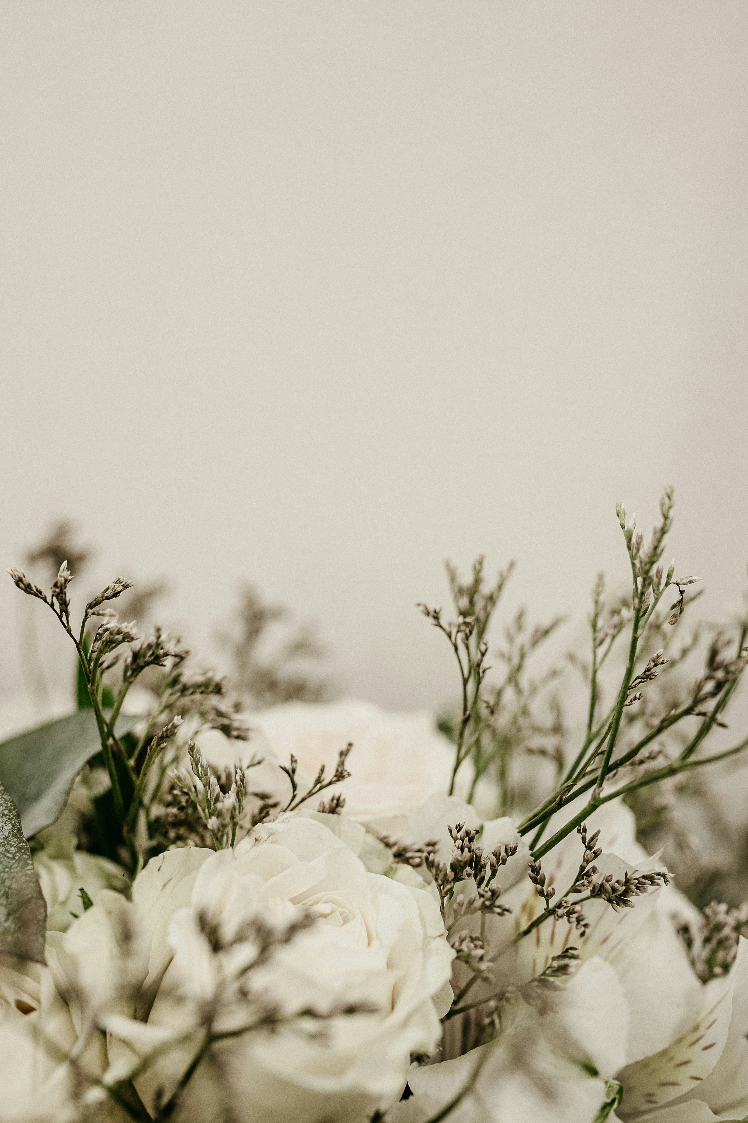A close-up of a bouquet of white roses, small purple flowers, and green leaves against a plain, light-colored background.