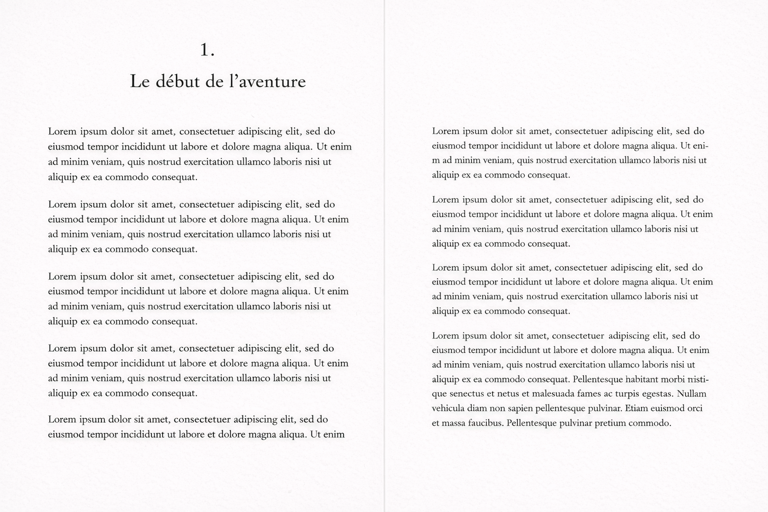 Exemple de biographie d'entrepreneur à Nantes