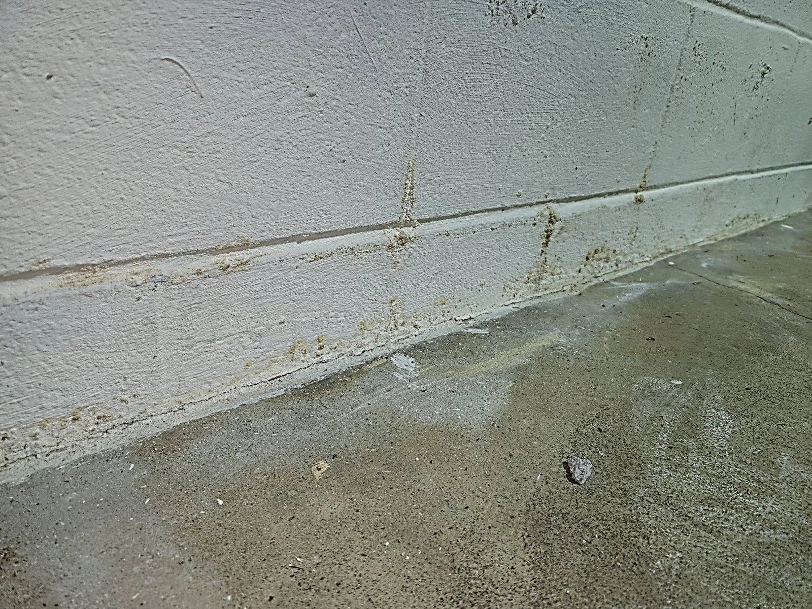 01-hero-basement-moisture.jpg