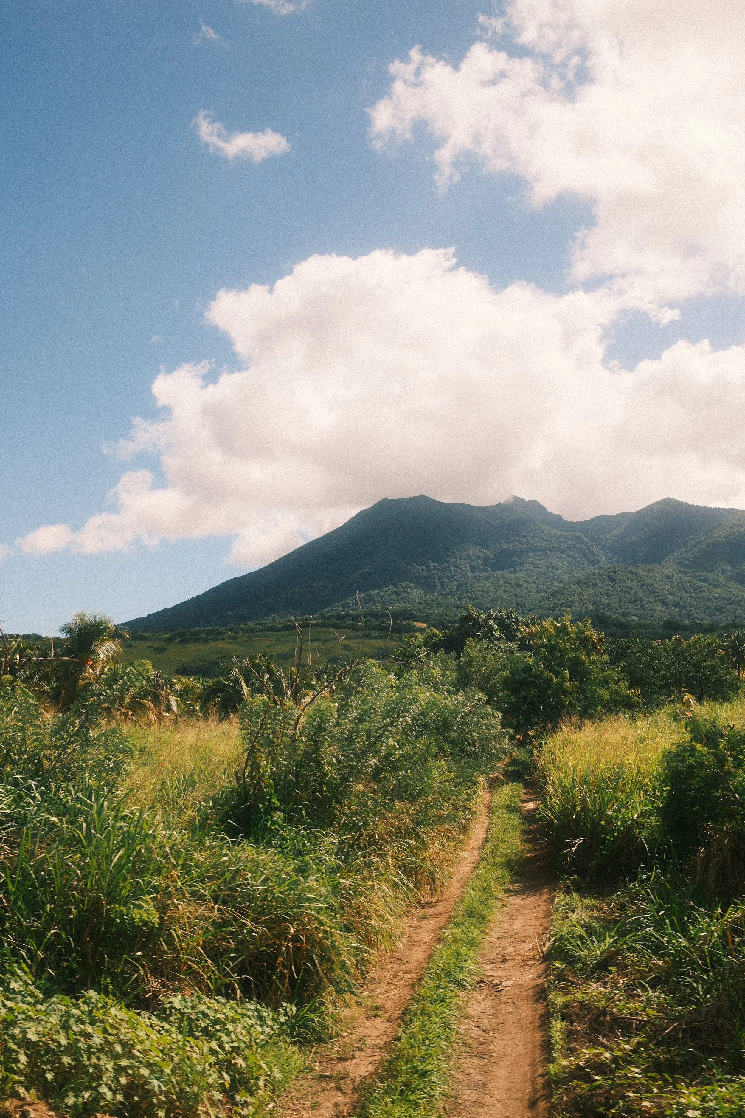 A dirt path running through green vegetation with a mountain in the background under a partly cloudy sky.