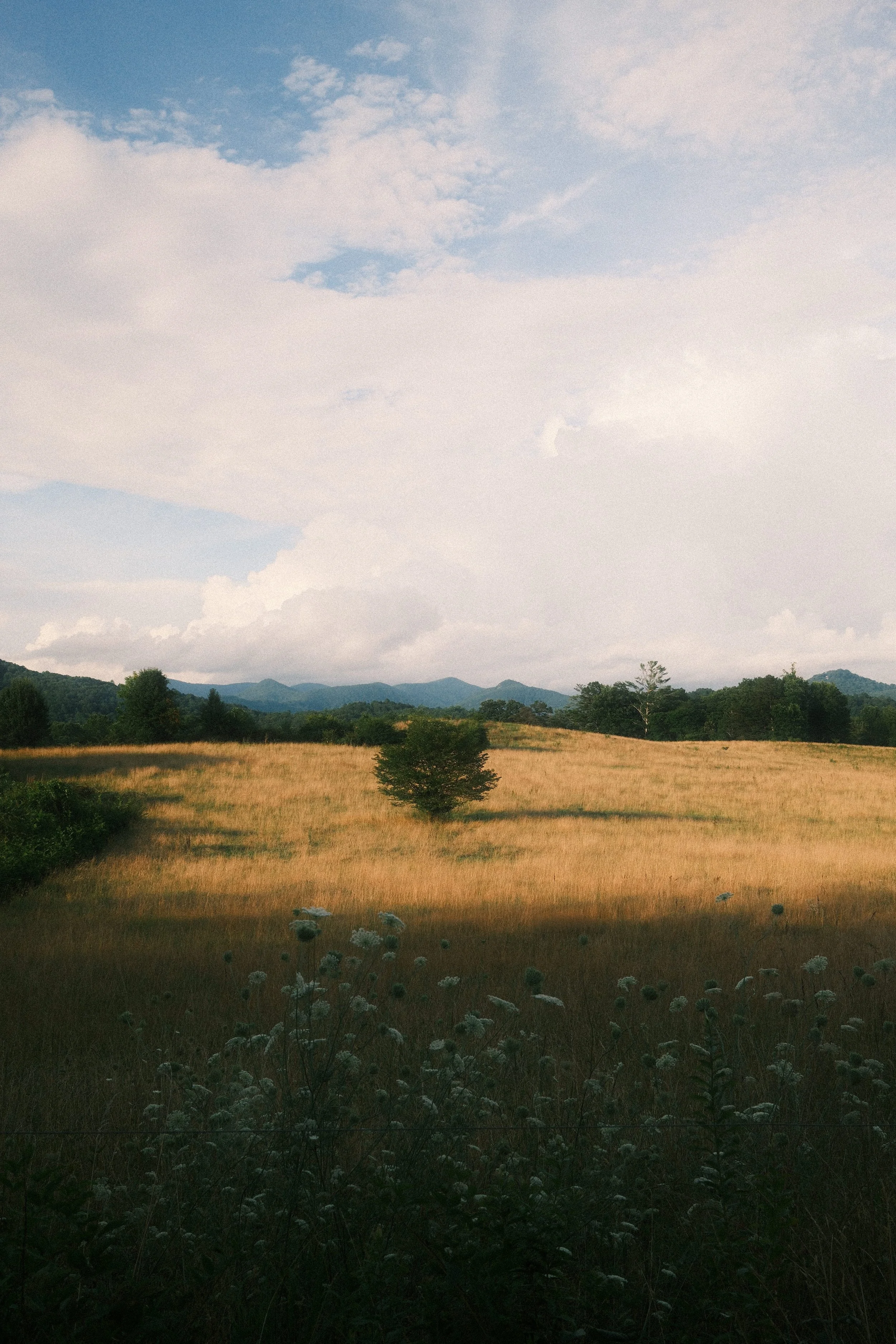 DSCF5593.jpg