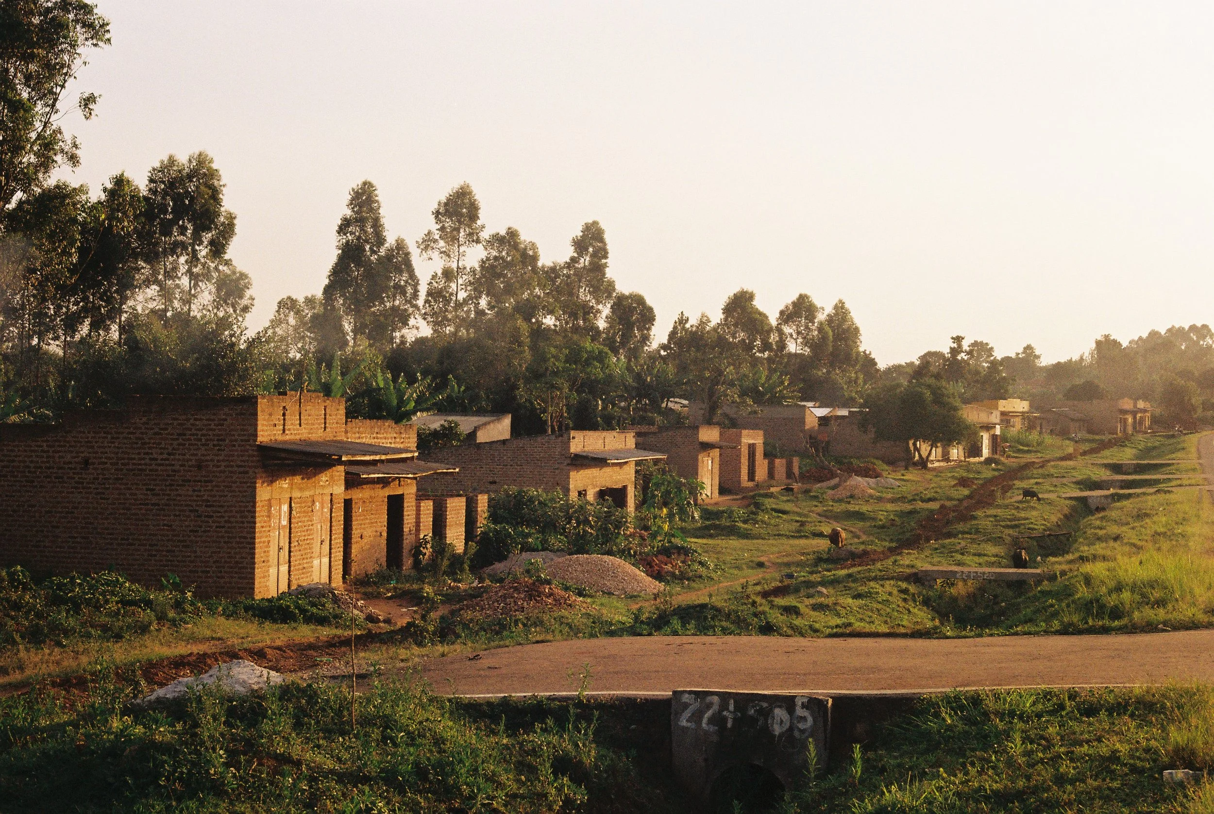 Rural village scene with brick houses, dirt pathways, greenery, and trees in the background during sunset.