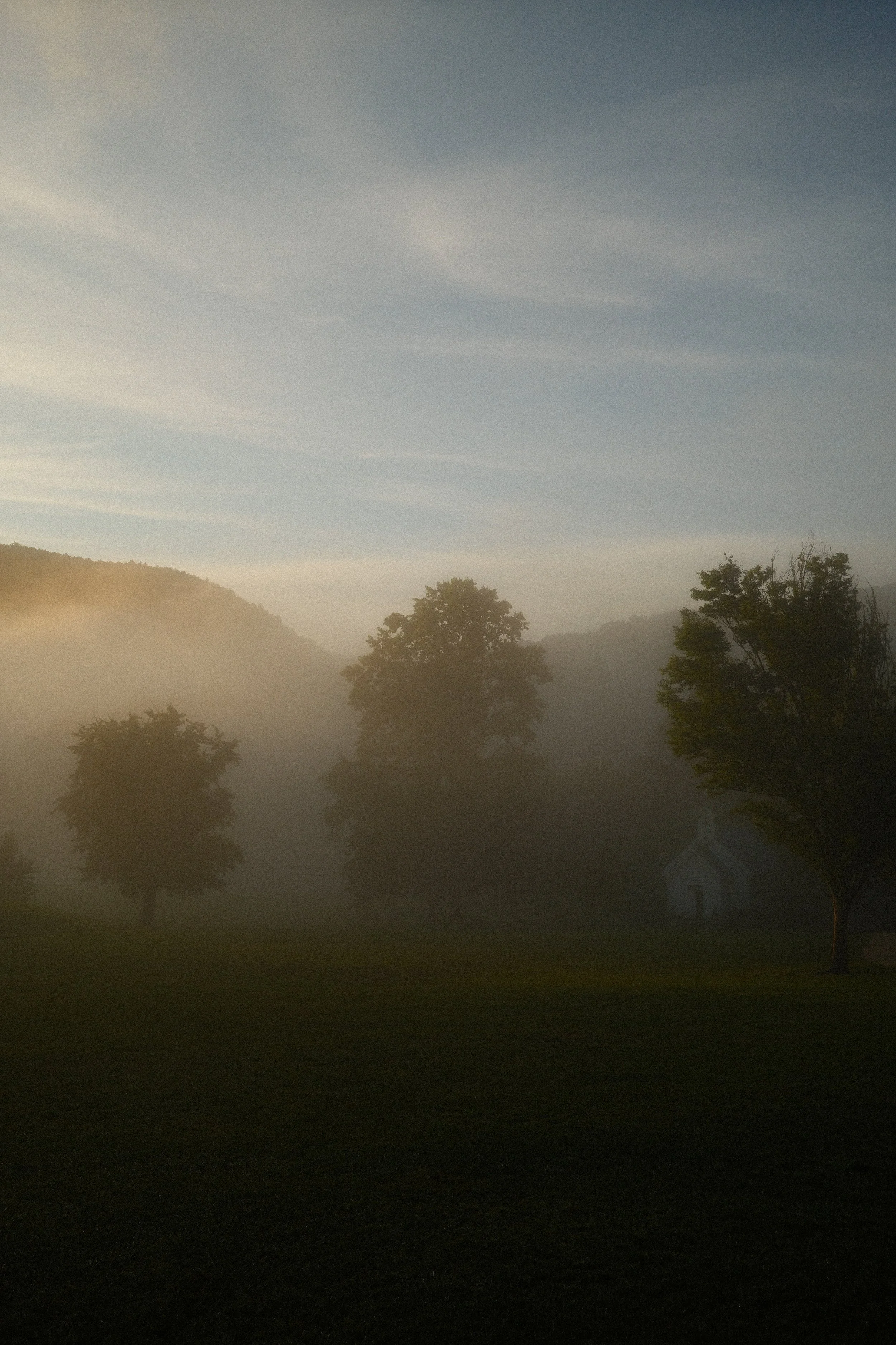 A foggy landscape at sunrise with trees and a small white church in the background.