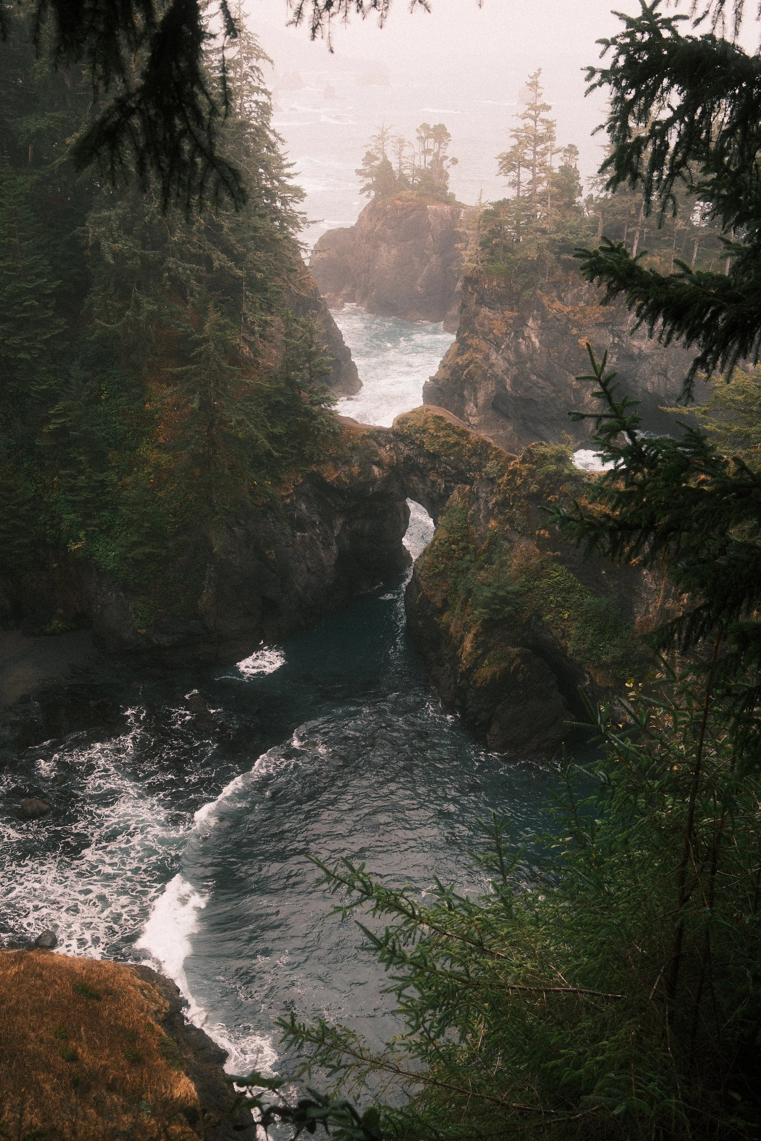A misty coastal scene with rocky cliffs, dense trees, and a natural arch formation over the water.