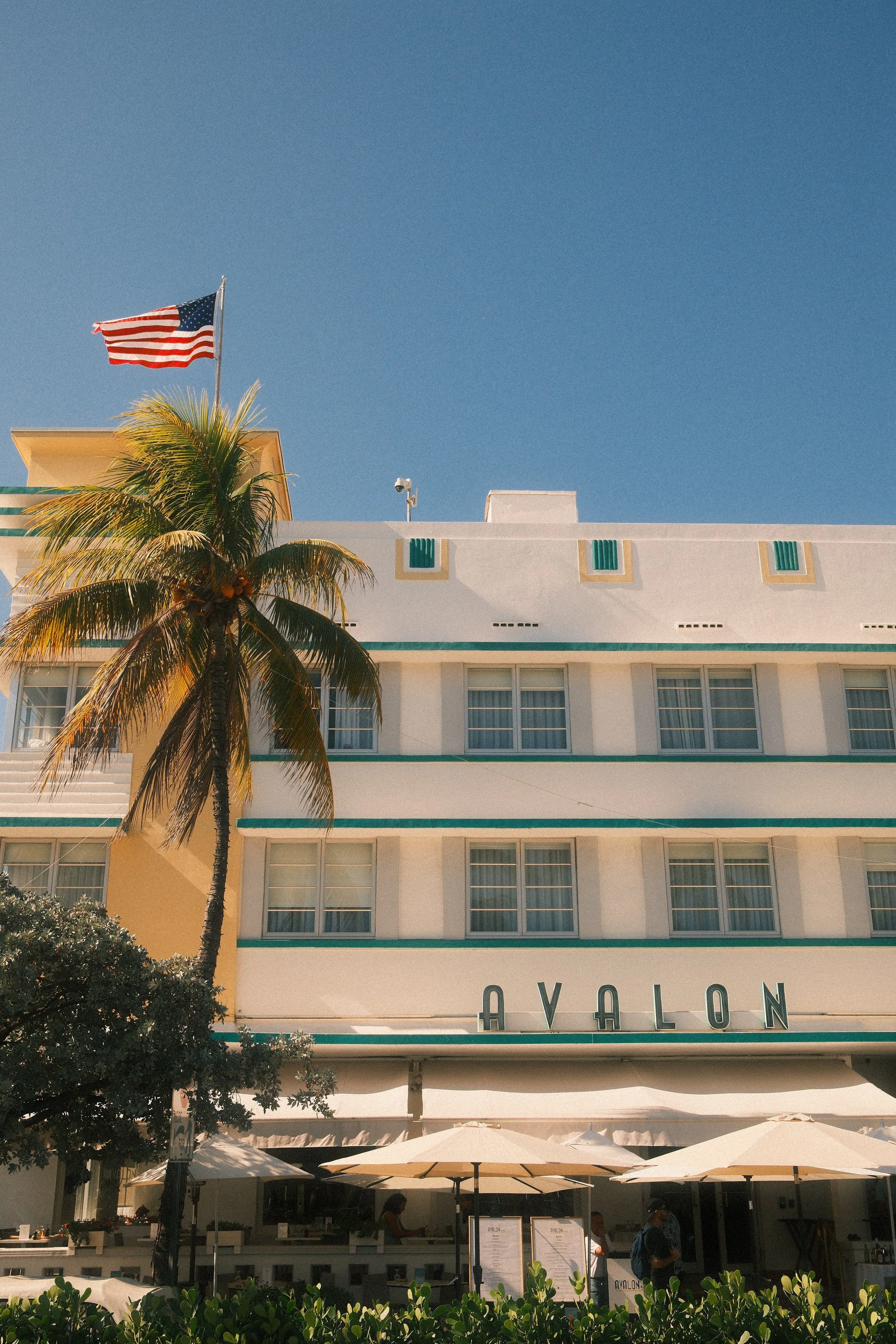 A hotel building with a palm tree in front, a large American flag flying above, and outdoor seating with white umbrellas. The sign reads 'AVALON'.
